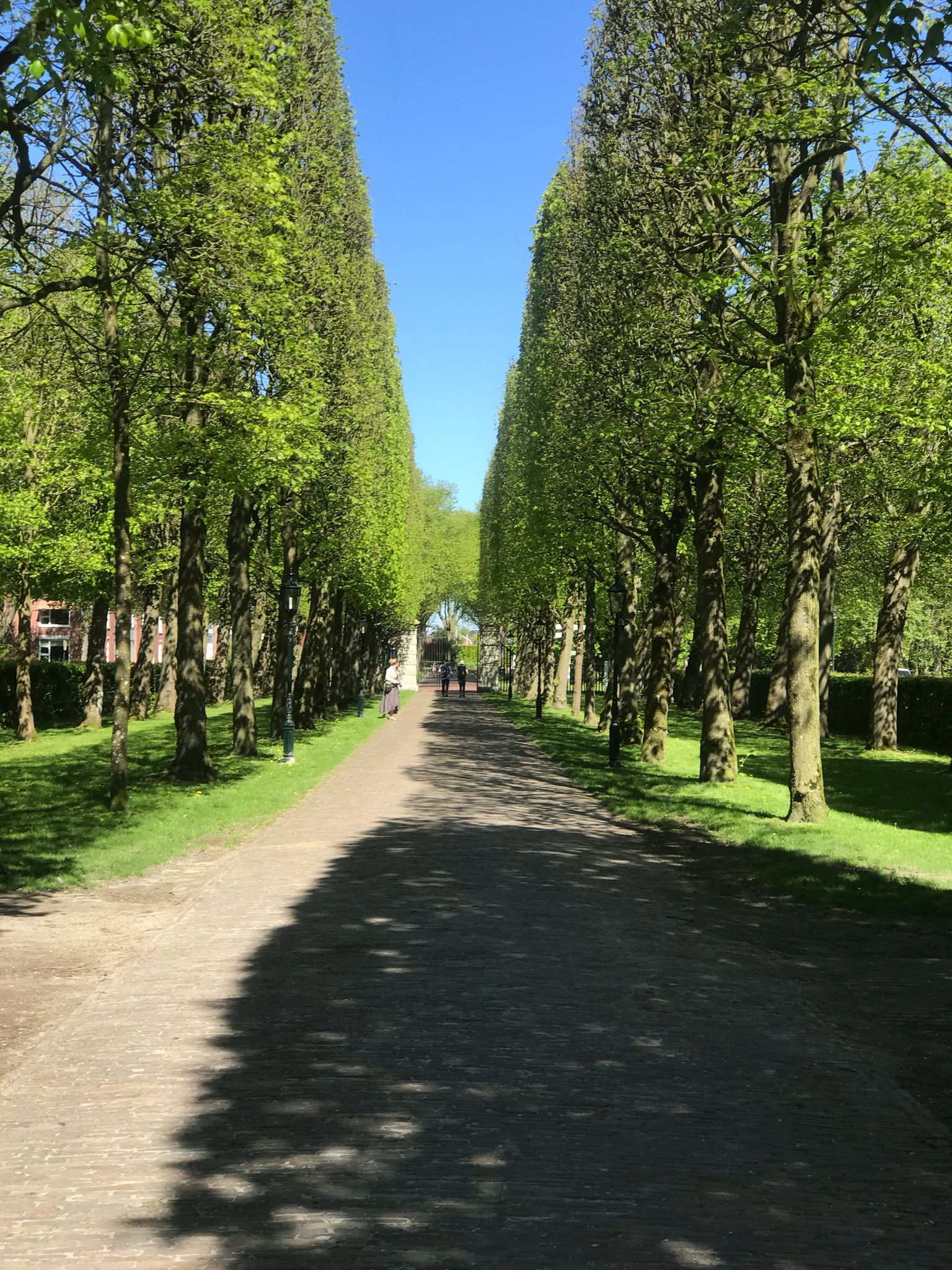 Park zum Schloss Menkemaborg