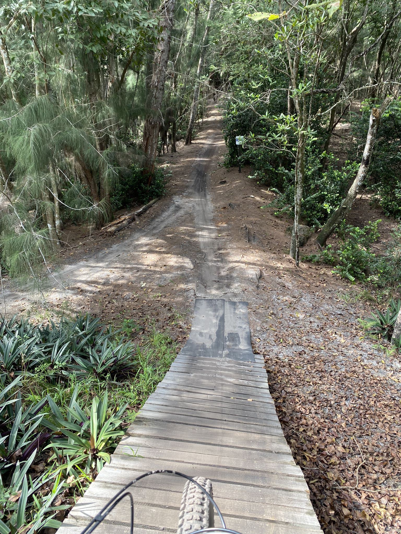 Bicycle tire on a wooden ramp leading to a dirt path through a sunny forest. - Markham Park – Lakeside Trail loop from BIKEBOX Markham Park
