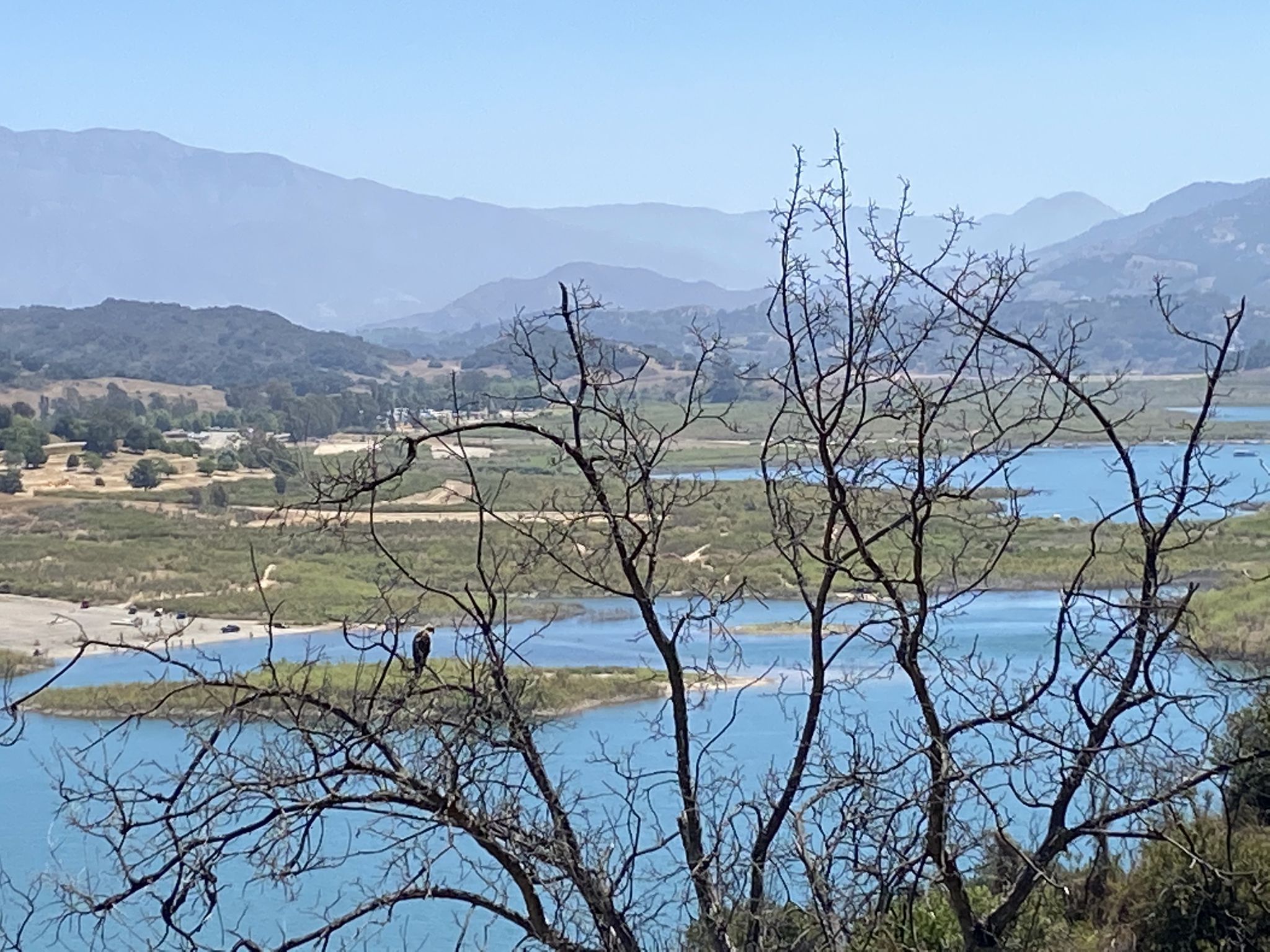 Bare tree branches framing a blue lake and hazy distant mountains. - Rincon Bluffs Preserve – Ventura Beach and Pier loop from East Ventura