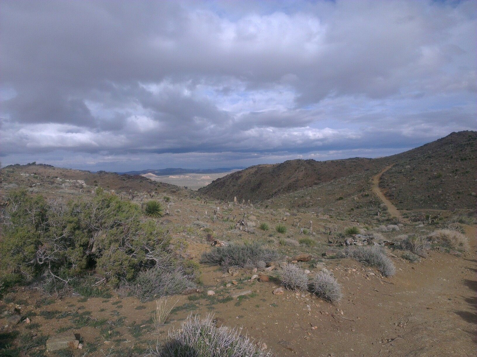 Overcast sky above a desert landscape with hills, sparse plants, and a dirt path. - Lost Horse Mine Trail
