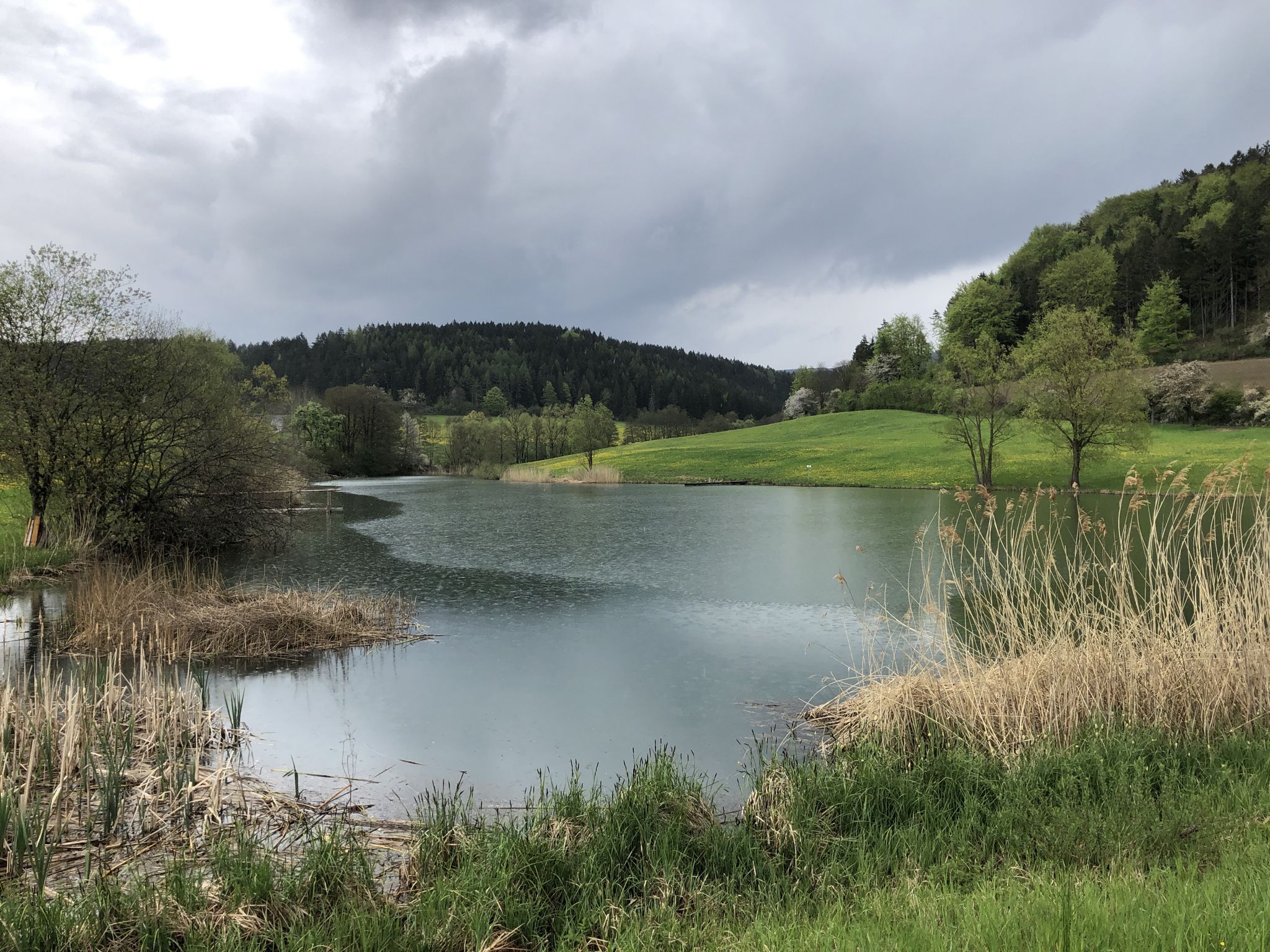 Krellsenstausee