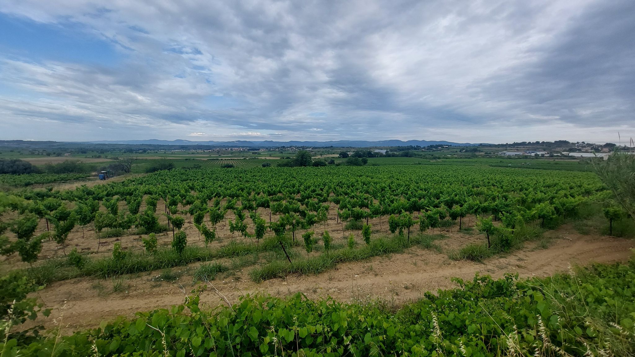 entre Laurens et Béziers