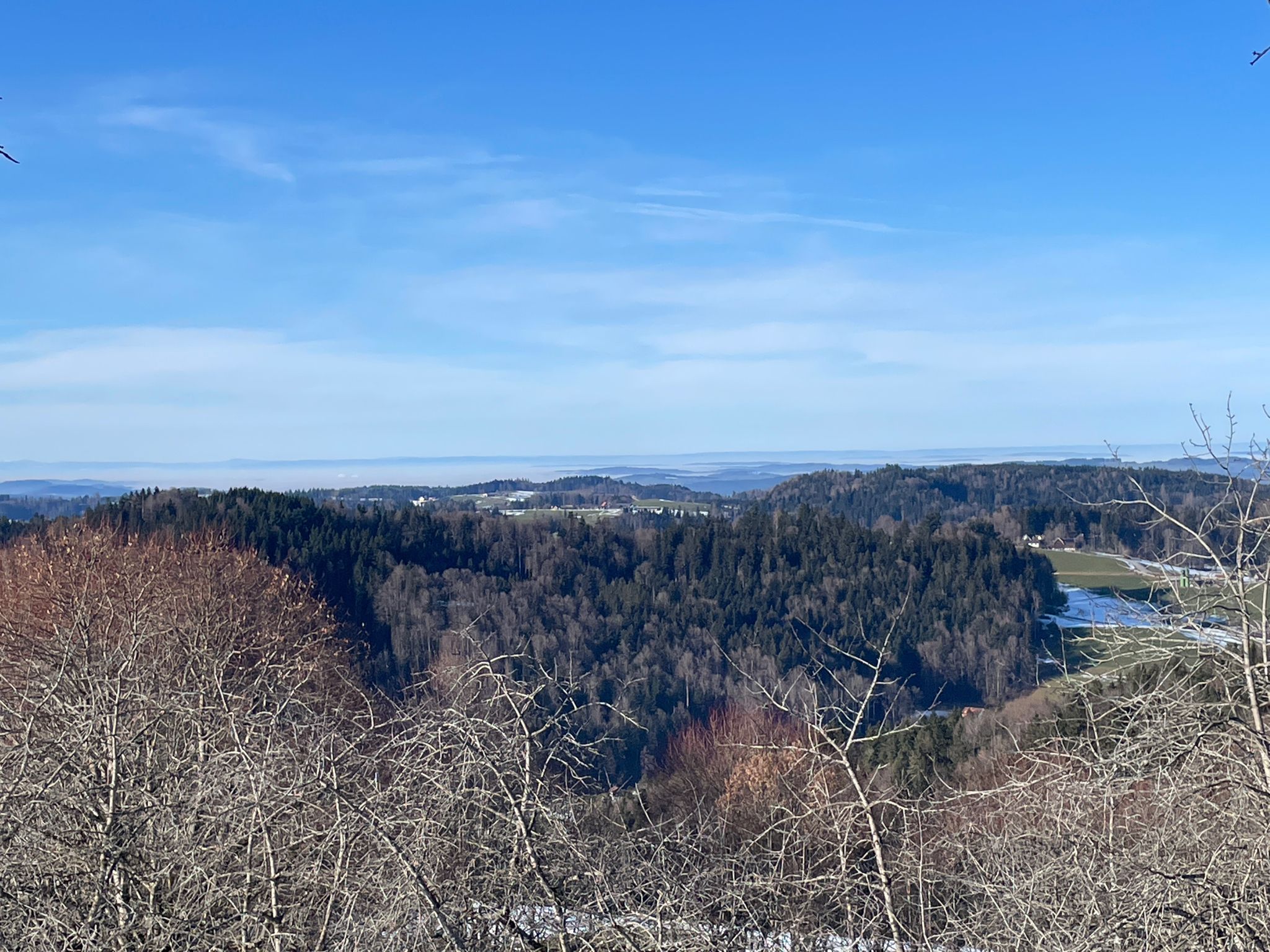Blick Richtung Bodensee