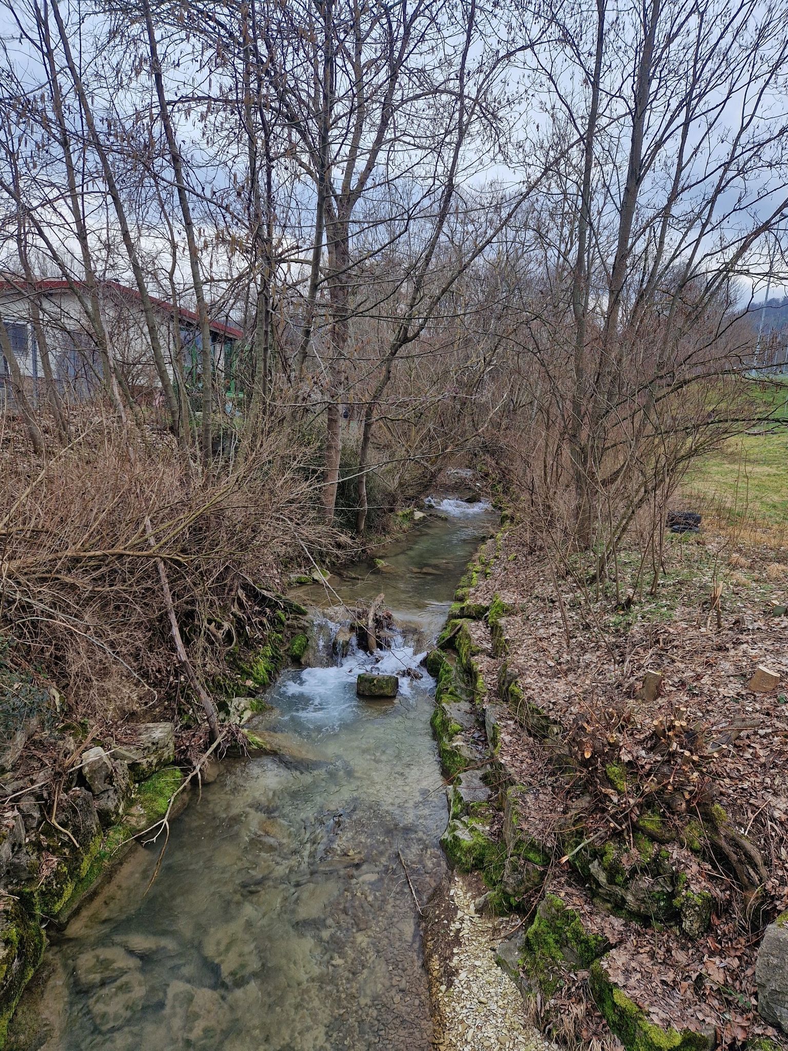 Arbach