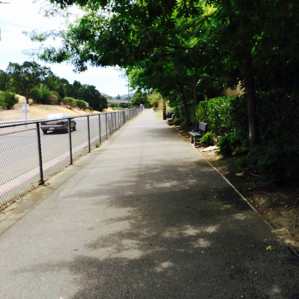 Shaded paved sidewalk next to a road with a fence and benches. - Iron Horse Trail loop from Walnut Creek