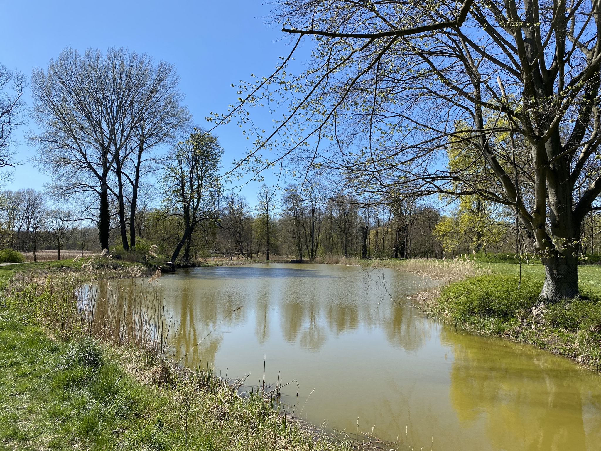SchlossparkteichTrampe