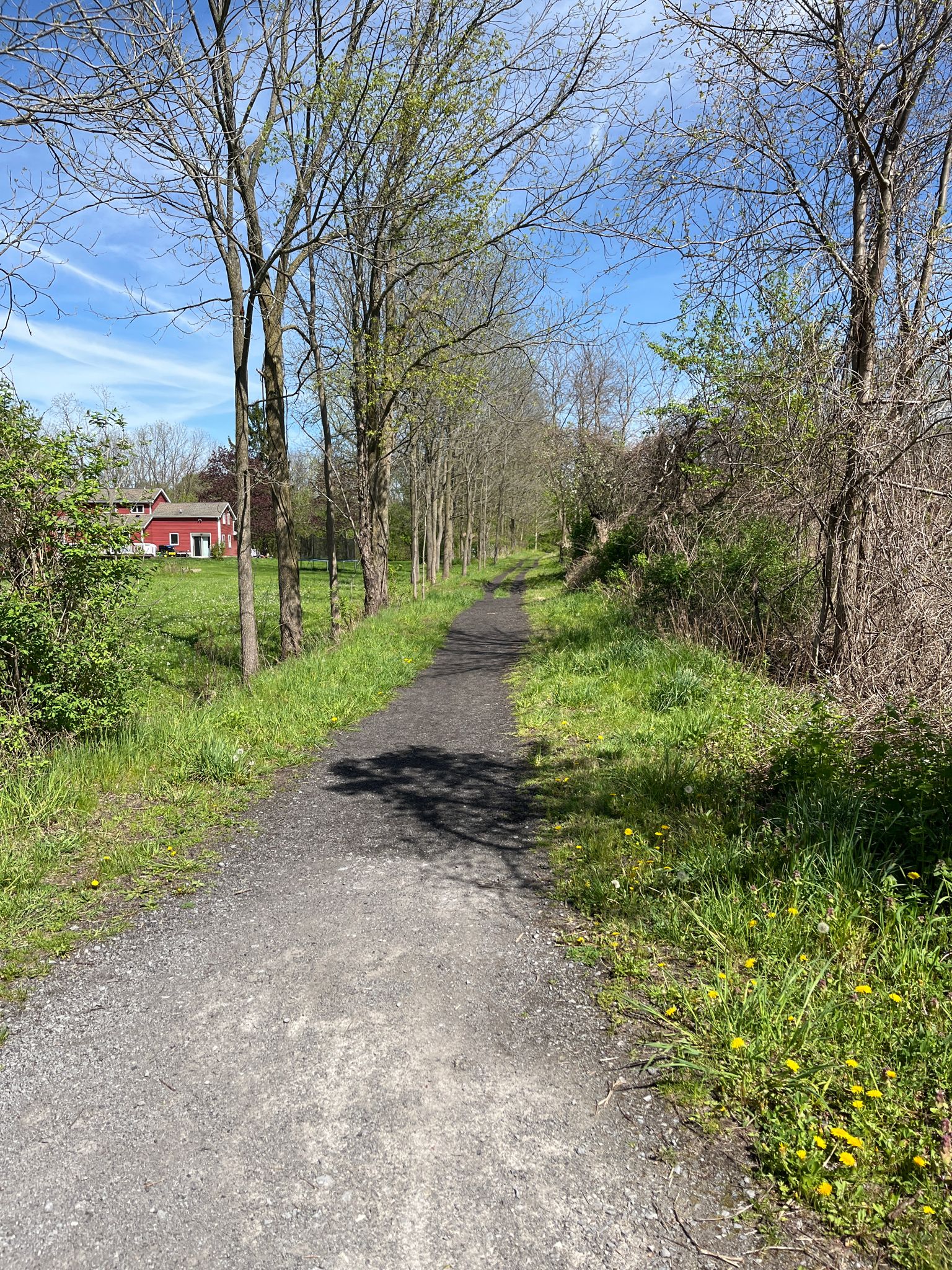 Gravel path winding through green grass and trees under a bright blue sky. - Auburn Trail