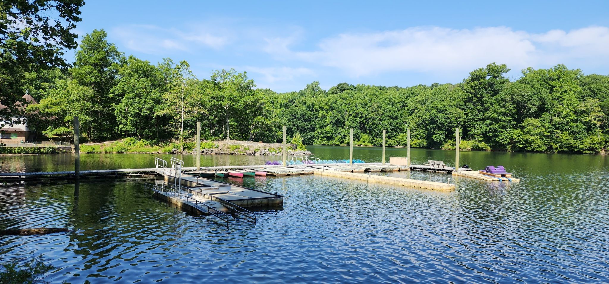 Floating docks on a calm lake surrounded by lush green summer trees. - Needwood Trail