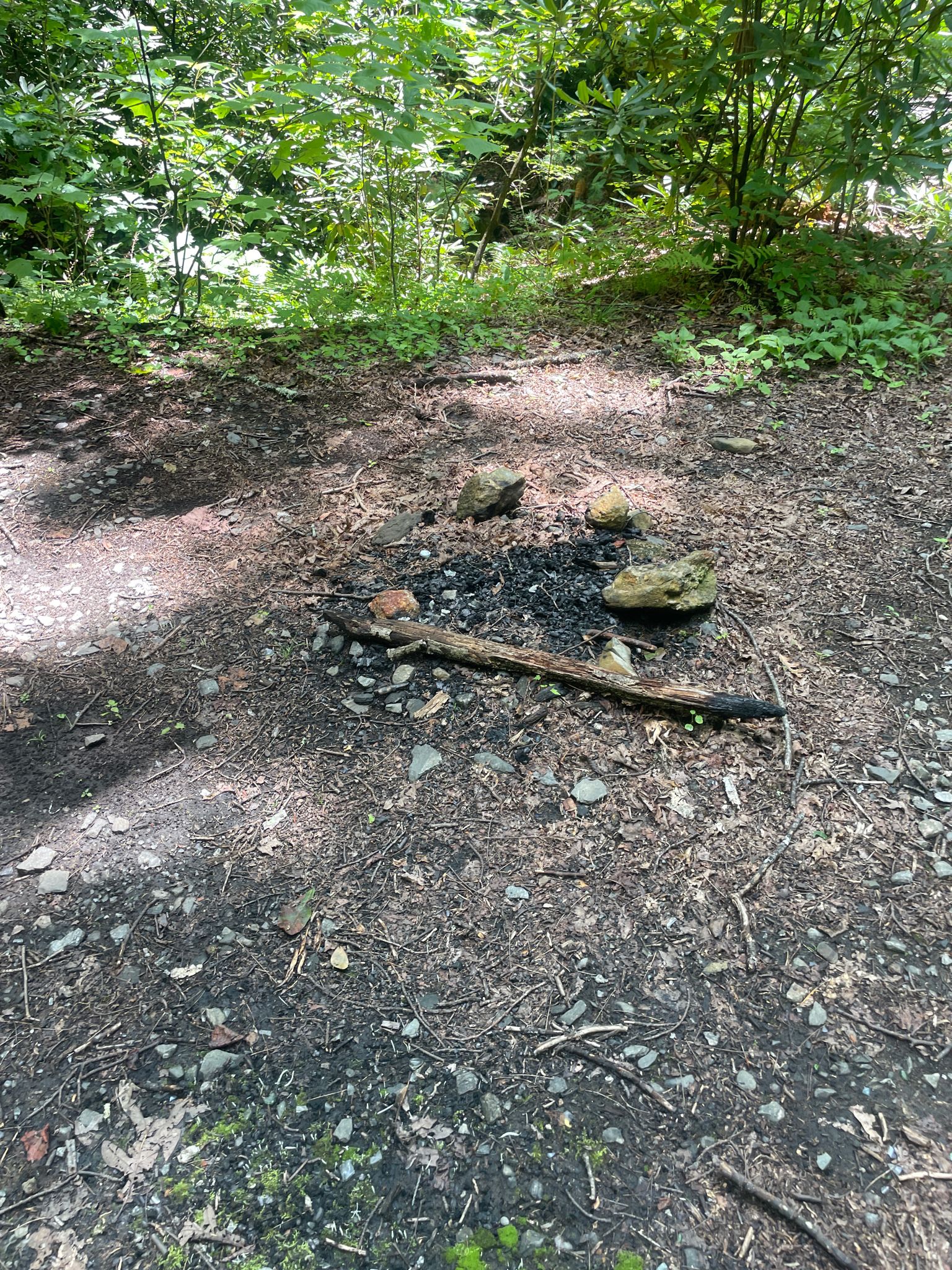 Old campfire ring with rocks and charcoal on a dirt ground. - Laurel Mountain and Slate Rock Creek Loop