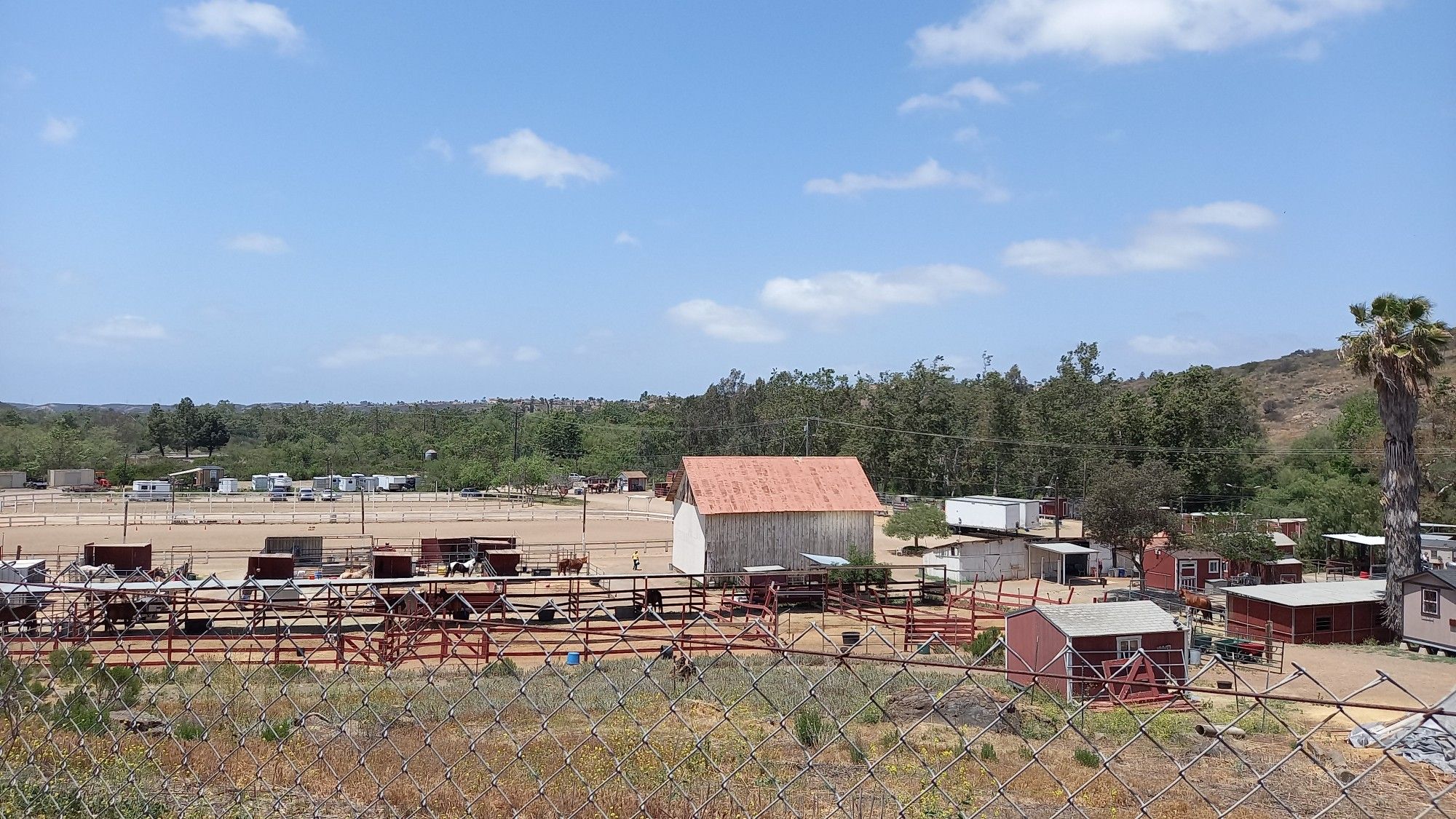 Granja de caballos 
