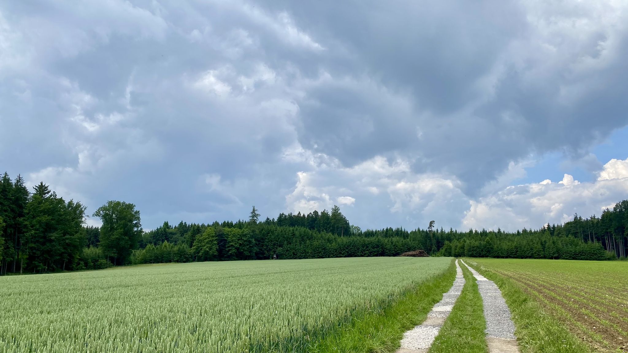 erste bedrohliche Schauerwolken