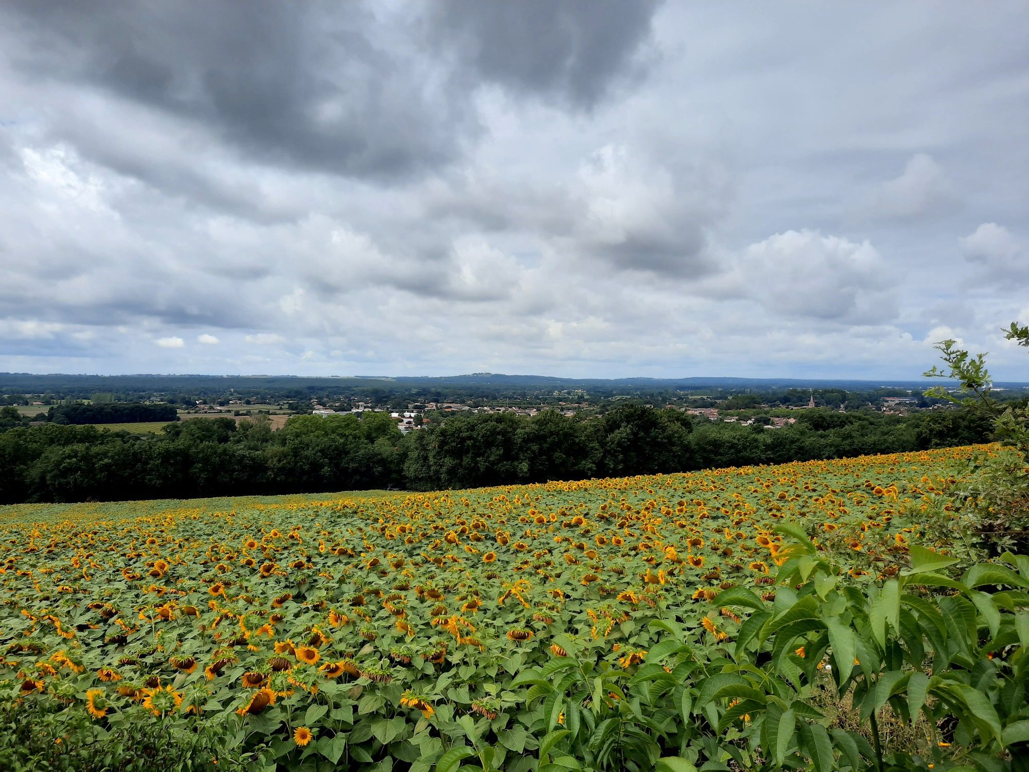 montjoire