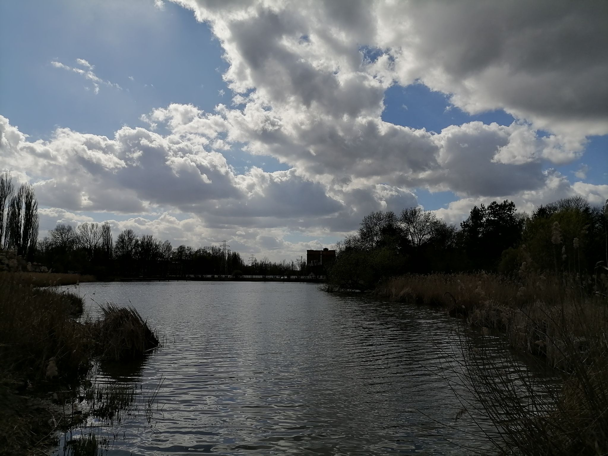 Staw na rz Jasień