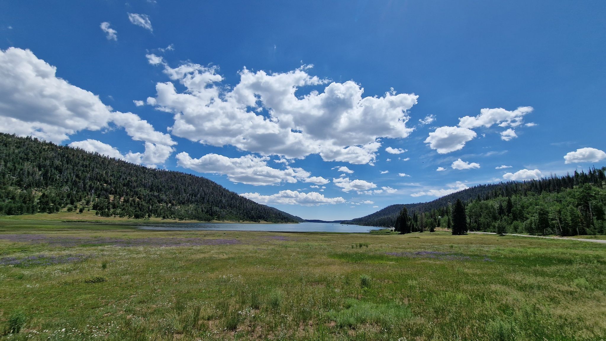 Wide valley with a lake, forested hills, and a bright, cloudy sky. - Navajo Lake Loop Trail