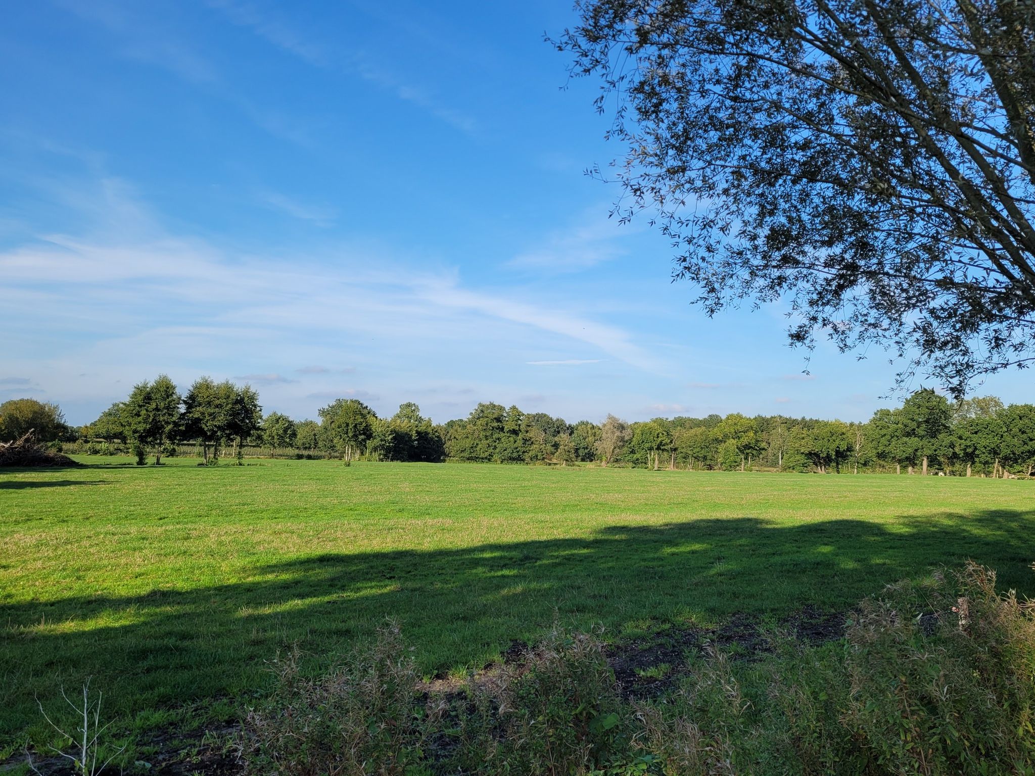Blick über Wiesen