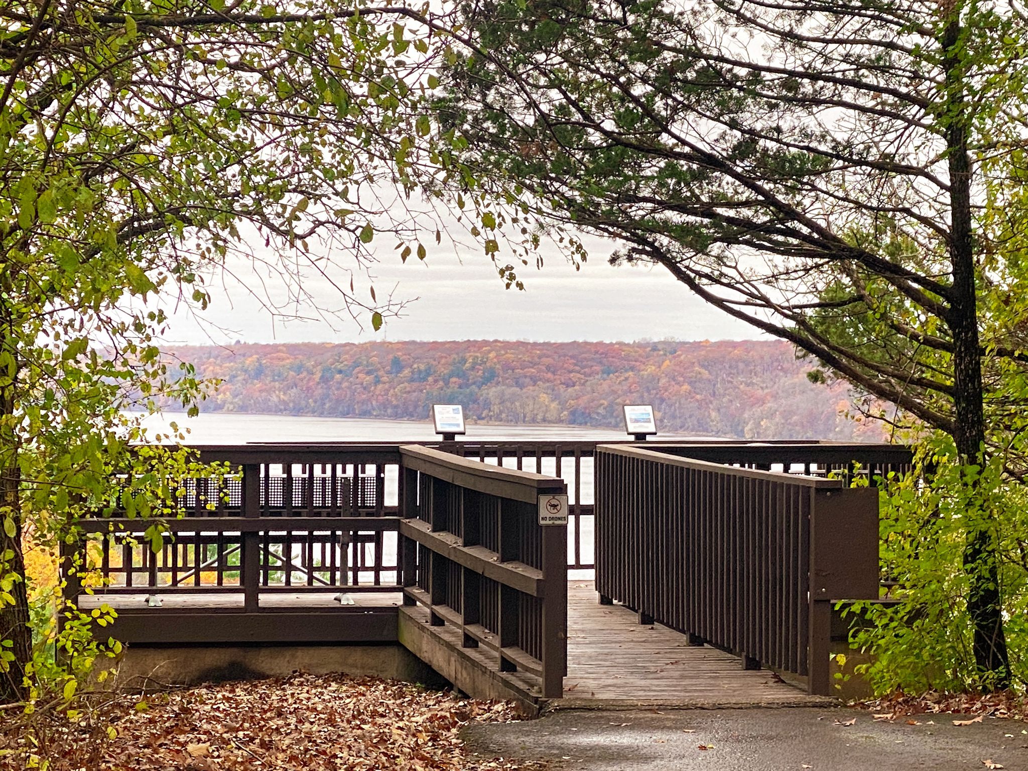 Wooden deck overlooks a wide river and colorful autumn forest under an overcast sky. - Kinnickinnic Green, Purple, and Yellow Loop