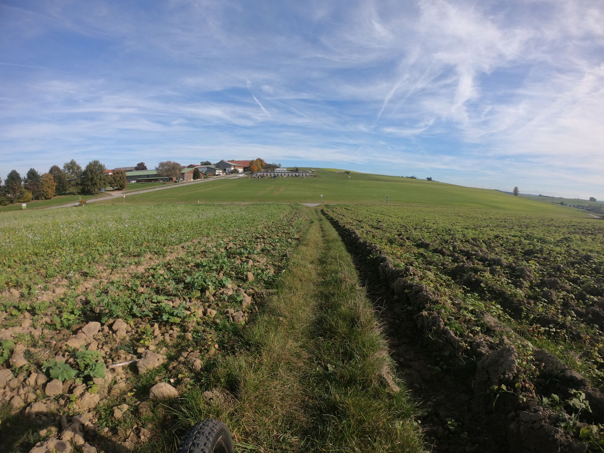 Vor uns Lichtegg