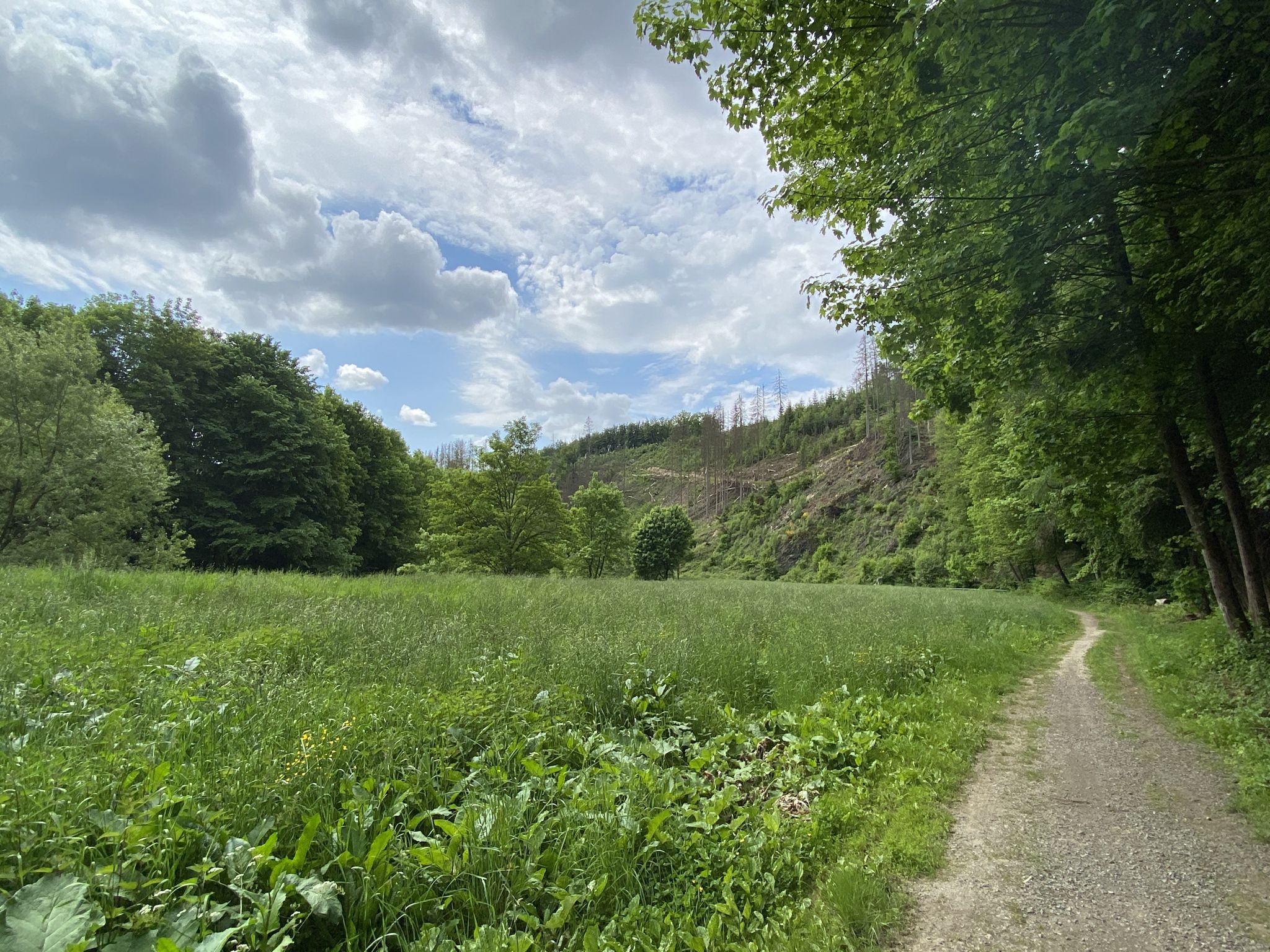 Kleiner Abstecher mit himmlischer Ruhe.
