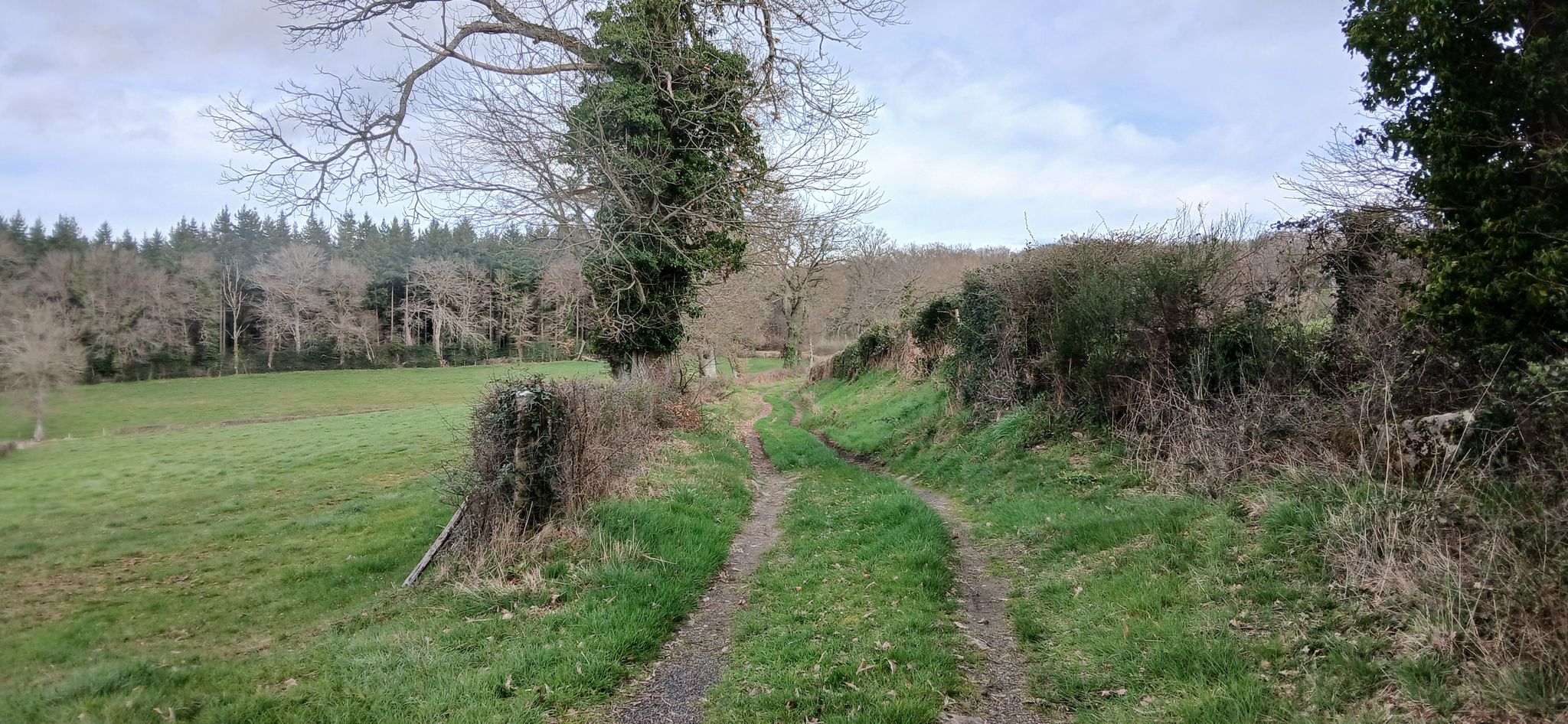 Le chemin par lequel je suis sorti de Balaty pour prendre direction