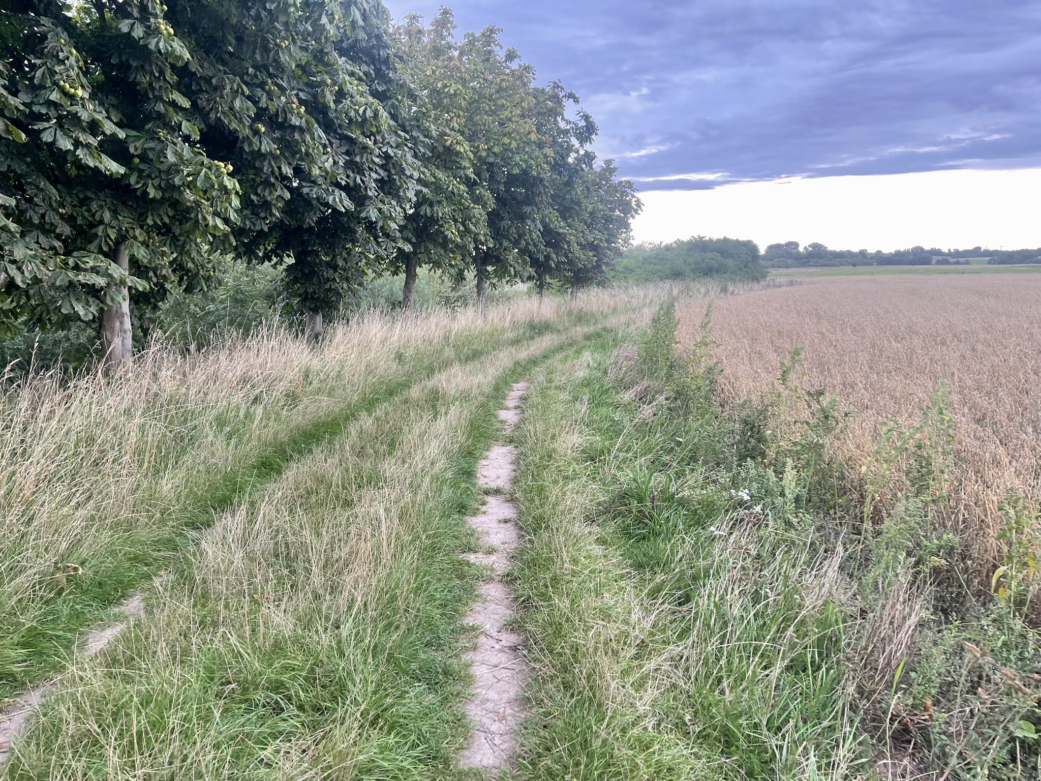 vom Camingpark Sommersdorf am See gehts aufNaturbelassenen Wegen bis nach Verchen