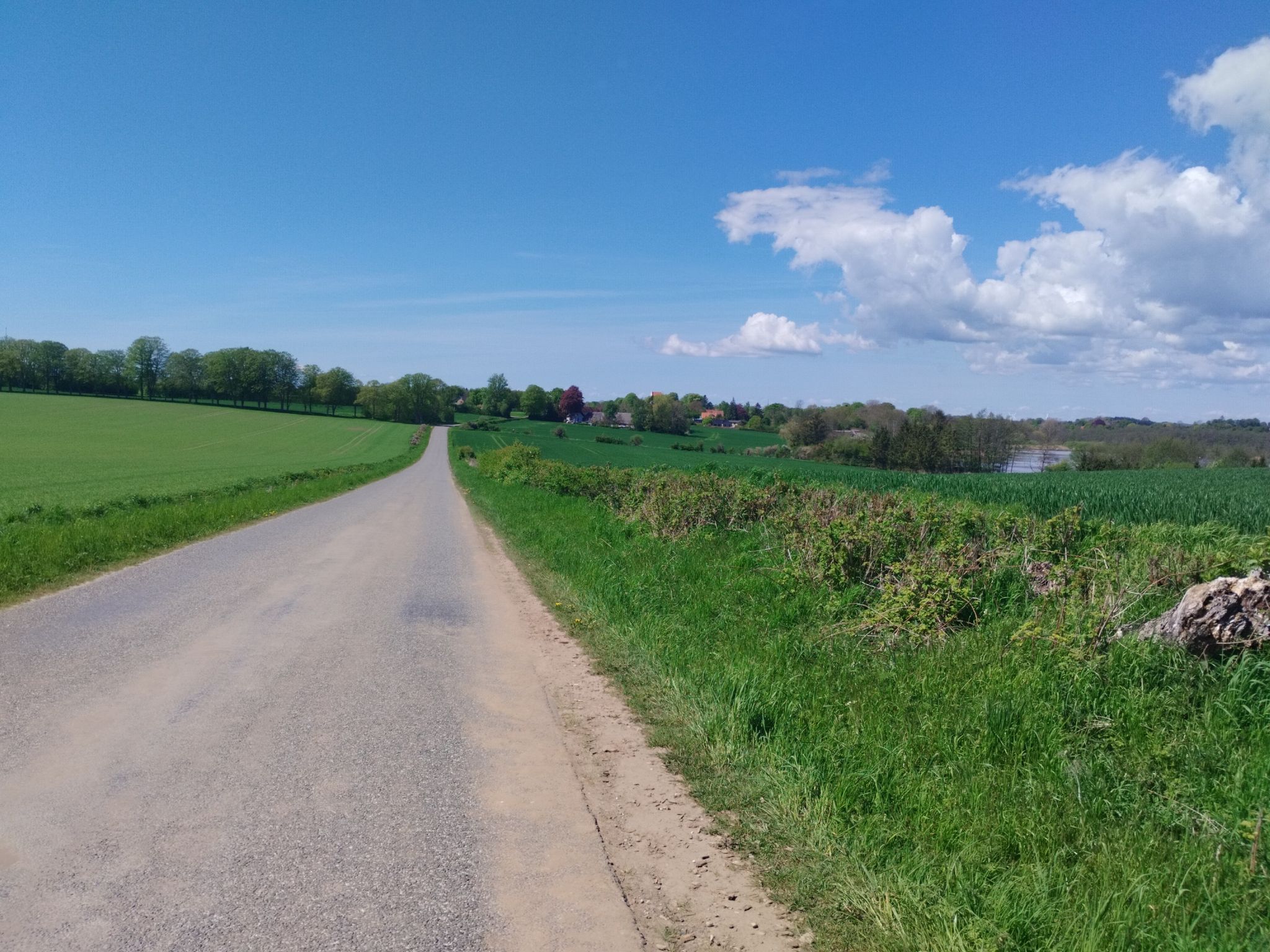 kleine Straße mit Seeblick 
