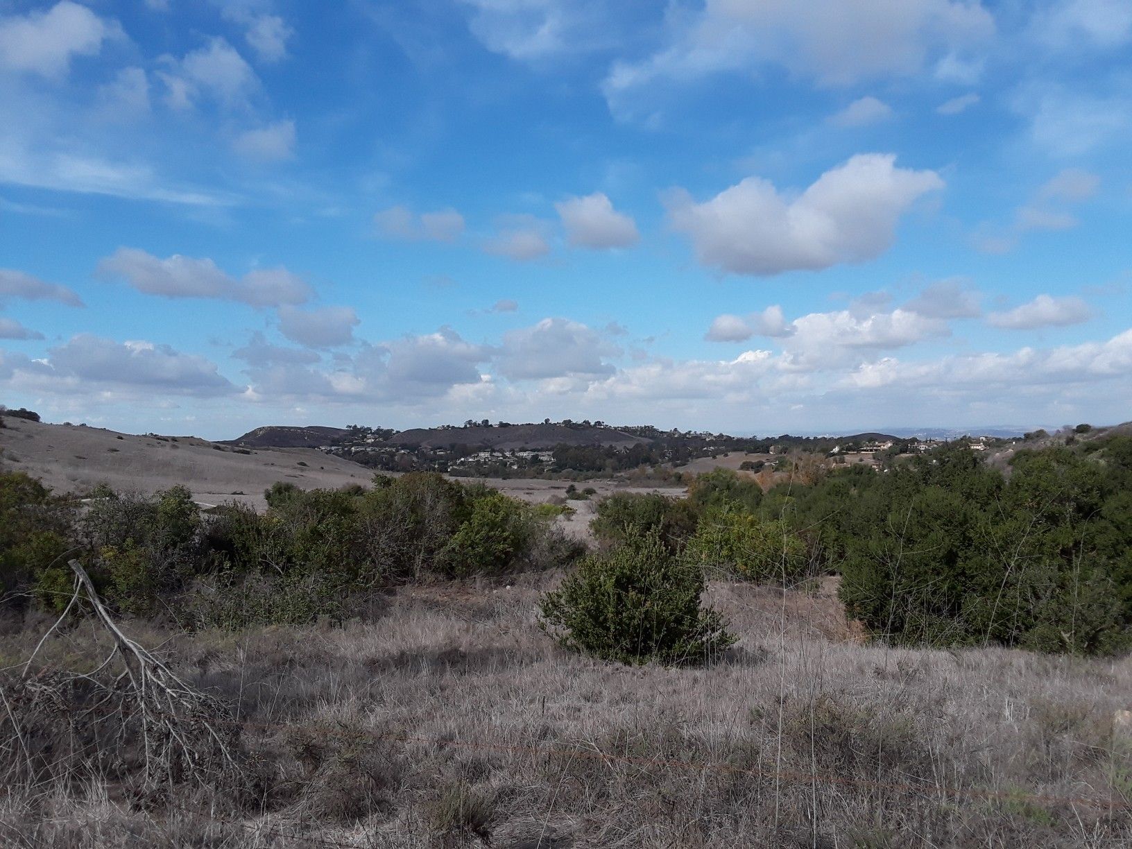 Expansive view of dry brush and green shrubs under a partly cloudy blue sky. - Bommer Meadow – Bommer Meadow loop from Turtle Rock