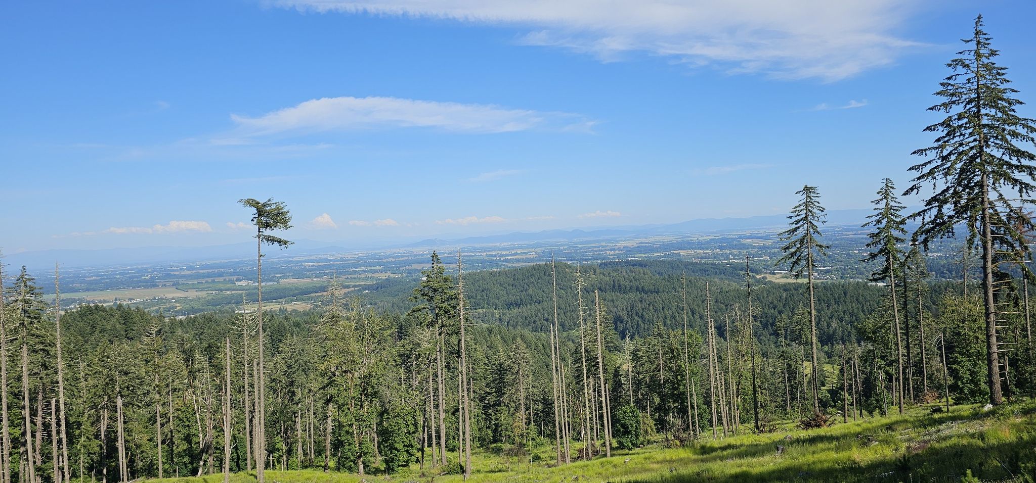 Panoramic view of a forested valley under a bright blue sky. - Daves Road 580 – Dimple Hill loop from Brandis Natural Area