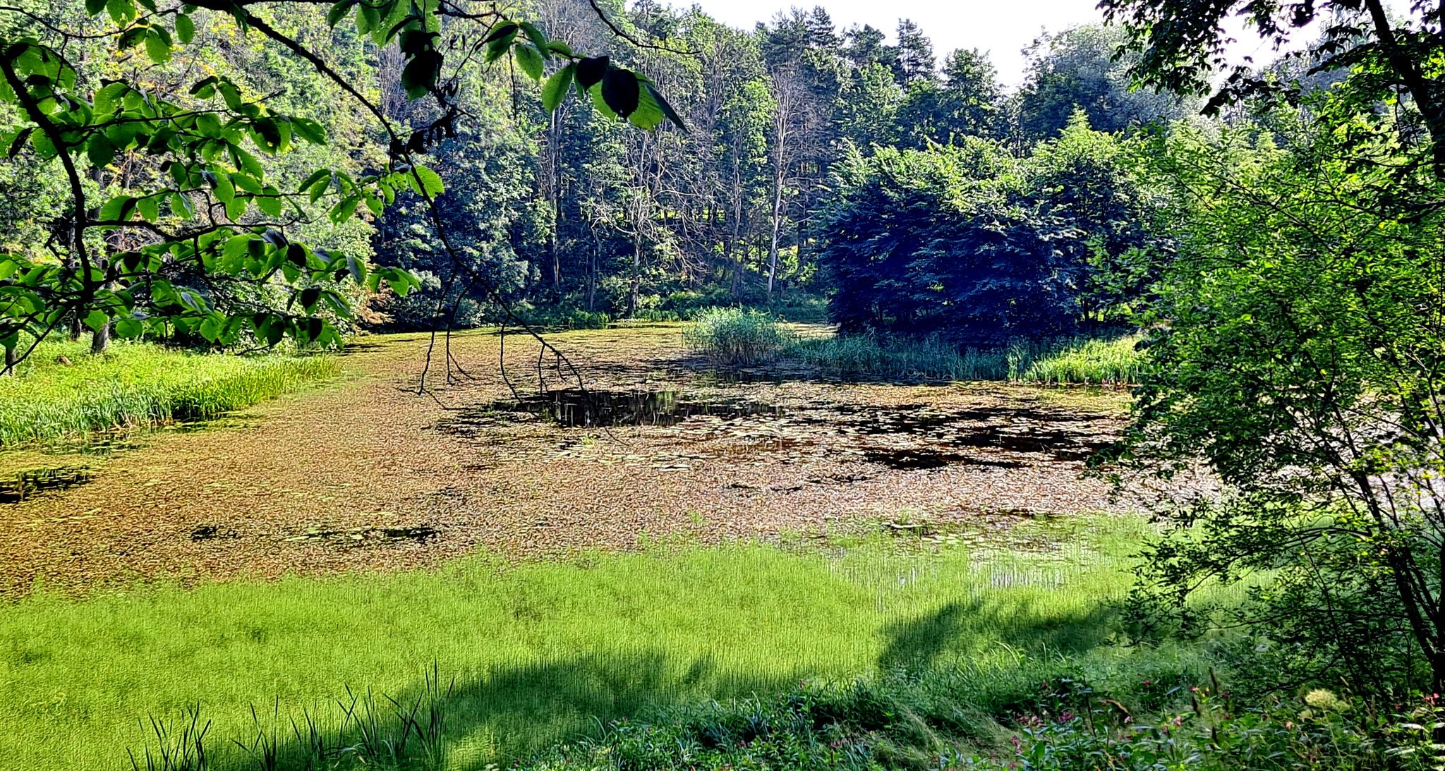 Auch ein järv