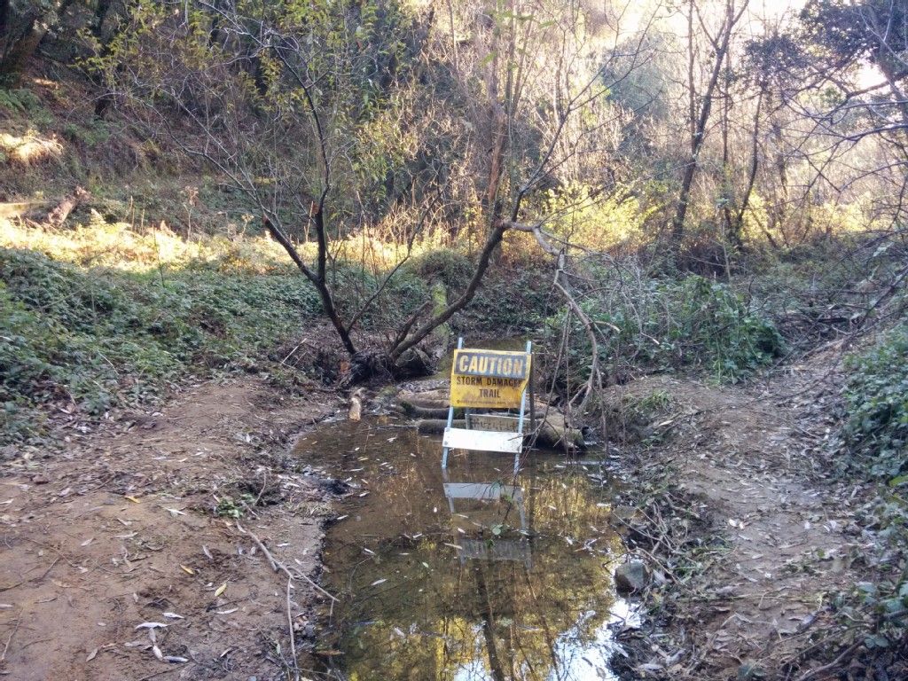 A 'Caution Water Over Trail' sign stands in a muddy, shallow stream. - Goldenrod and Cascade Trail Loop