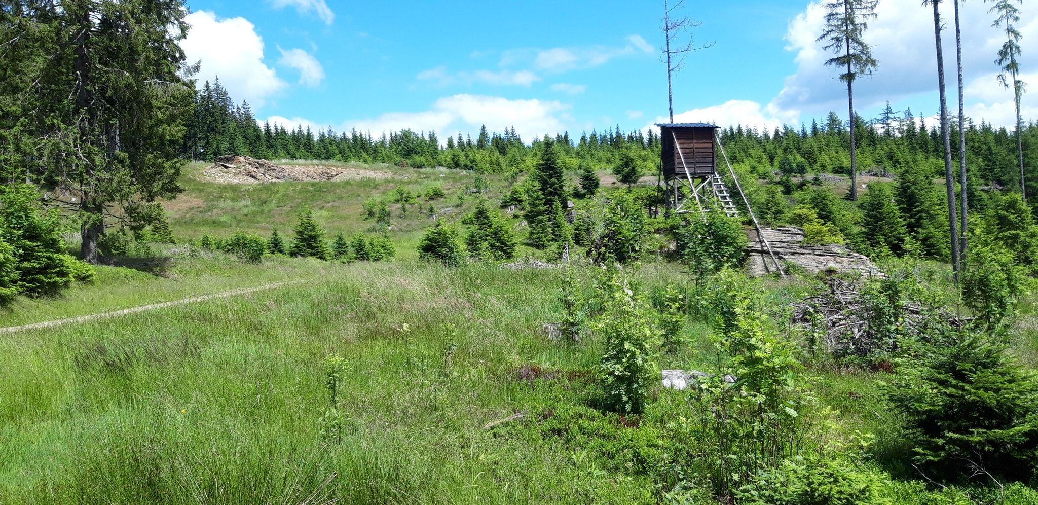 Hochsitz am Felsen