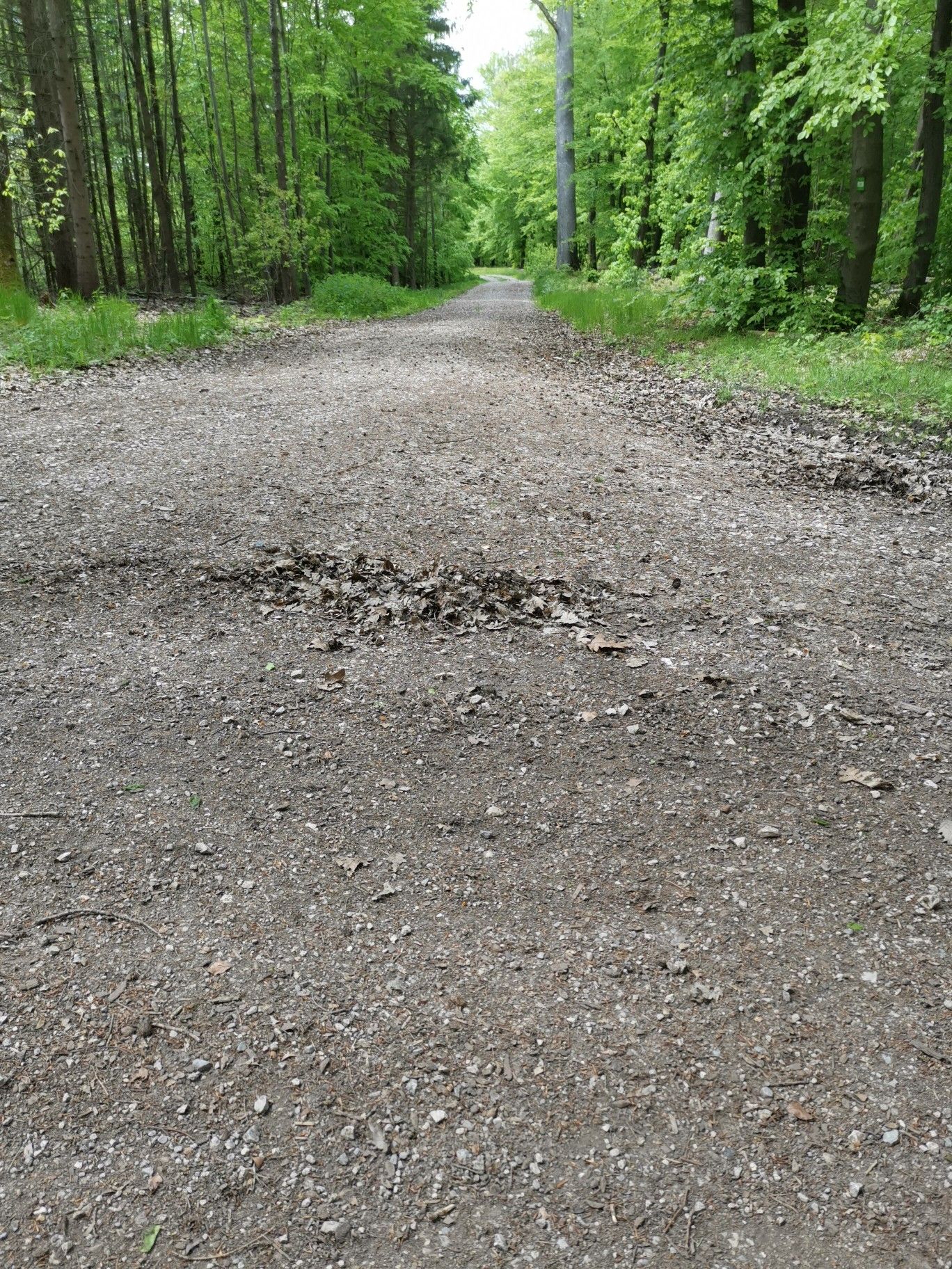 dombachtalweg