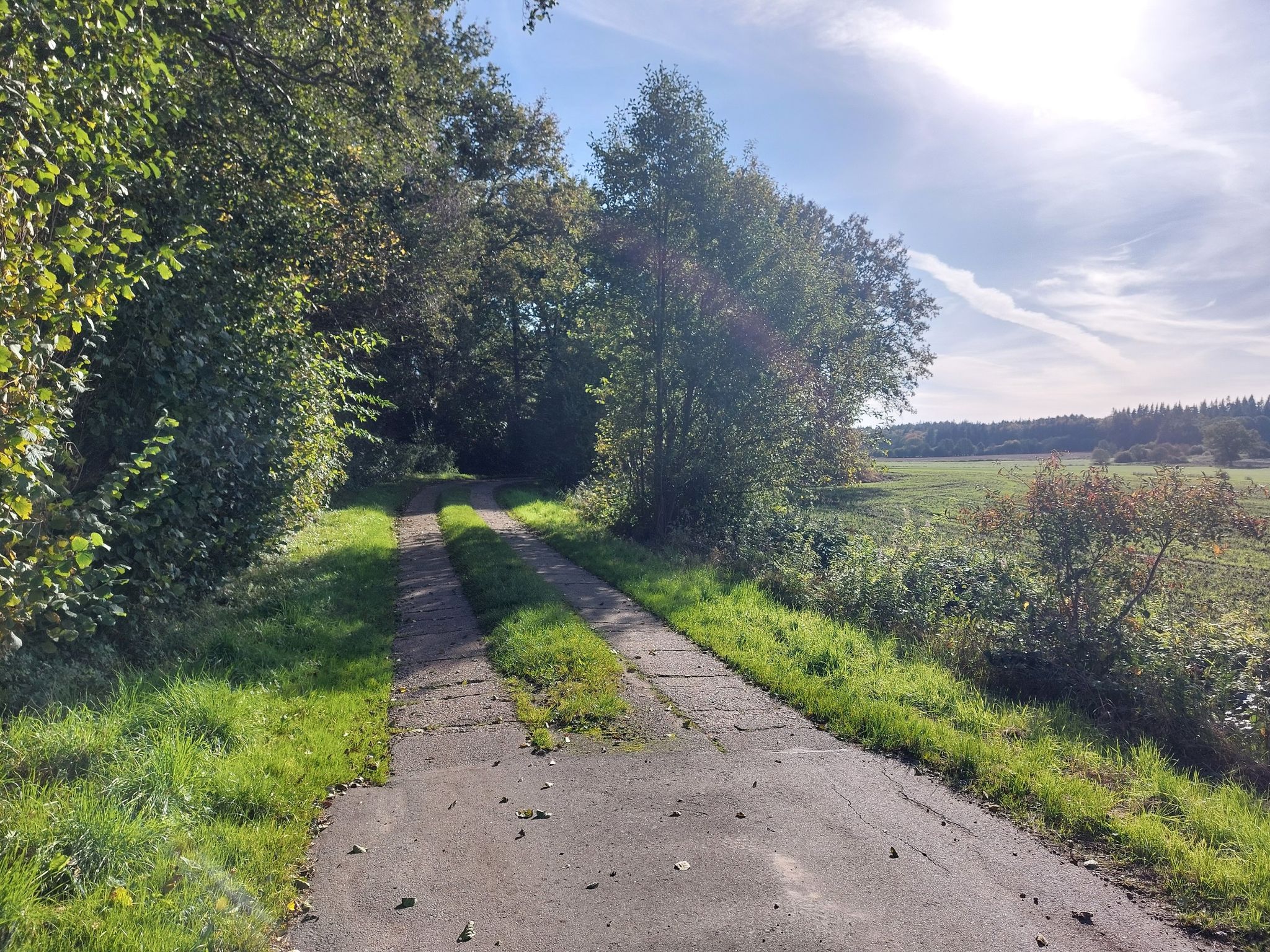 Auf Spurbahn in die Niederung