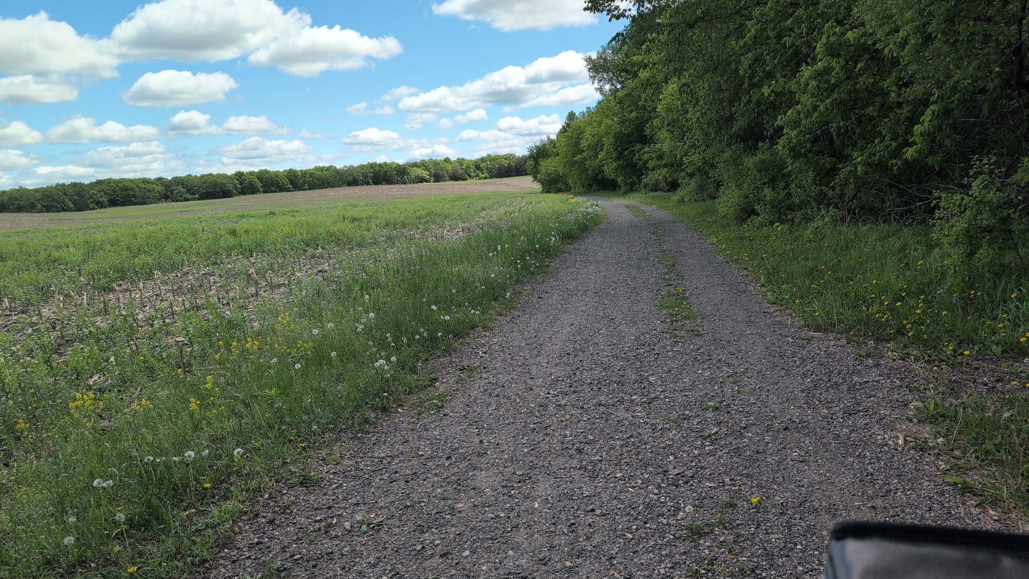 A gravel road runs beside a green field and dense forest under a cloudy sky. - Anoka Nature Preserve Perimeter Loop