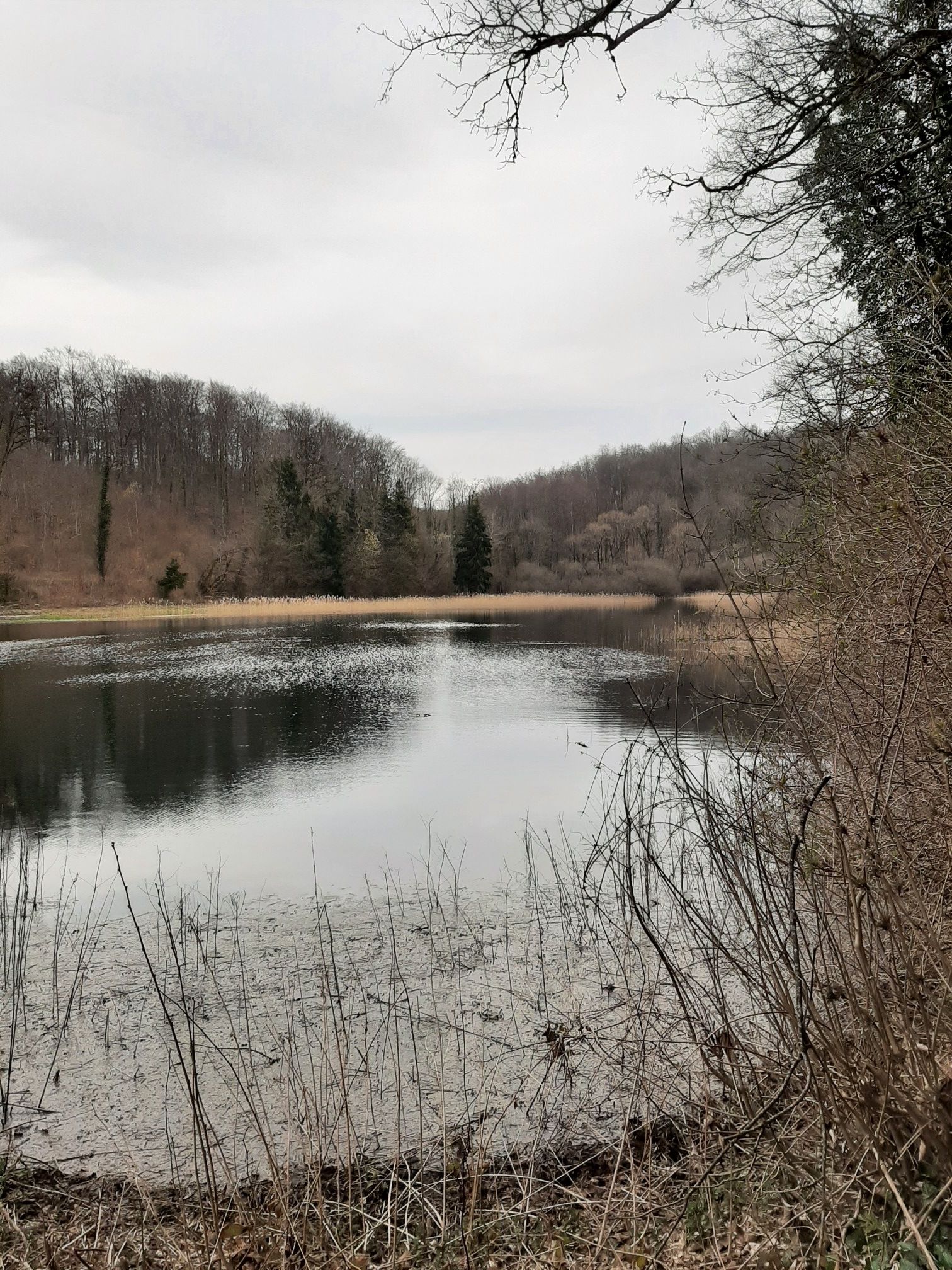 etang sainte Geneviève 