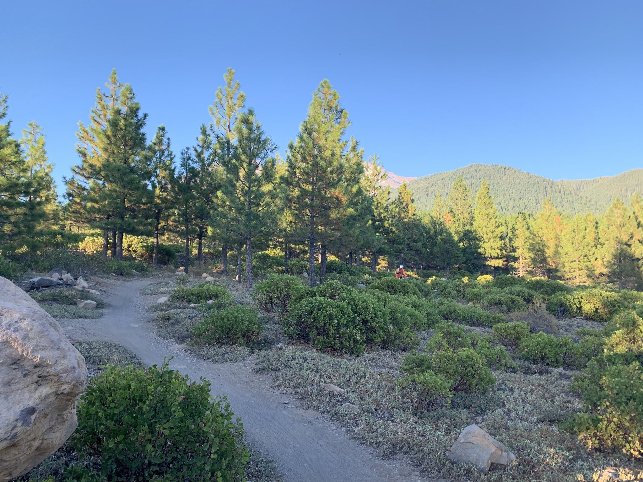 Dirt path winding through a sunny forest with distant mountains. - Mountainbike loop from Gateway Trailhead