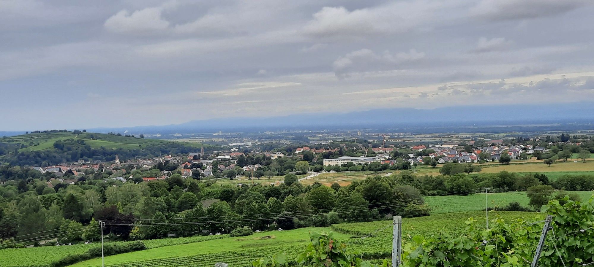 Müllheim/Rheinebene/Vogesen 