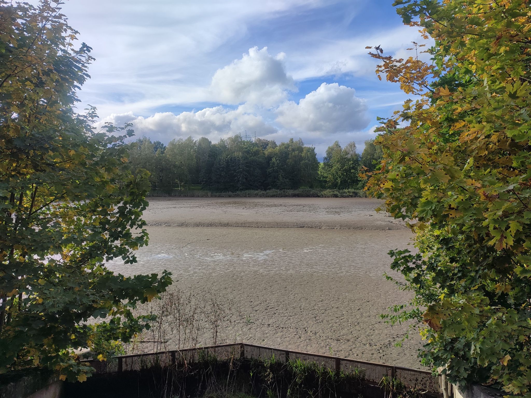 abgelassener Teich