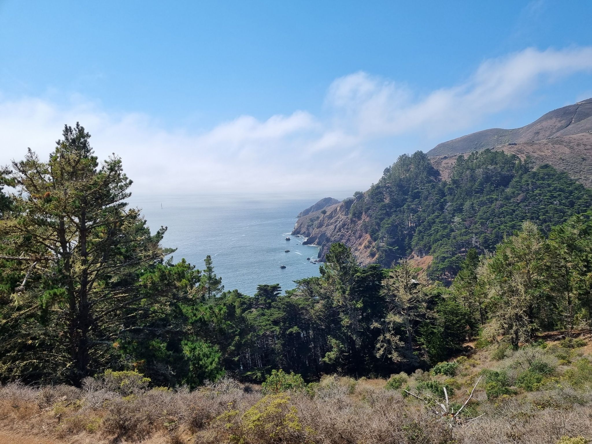 Lush green hills and trees overlooking a vast ocean under a blue sky. - Kirby Cove Trail