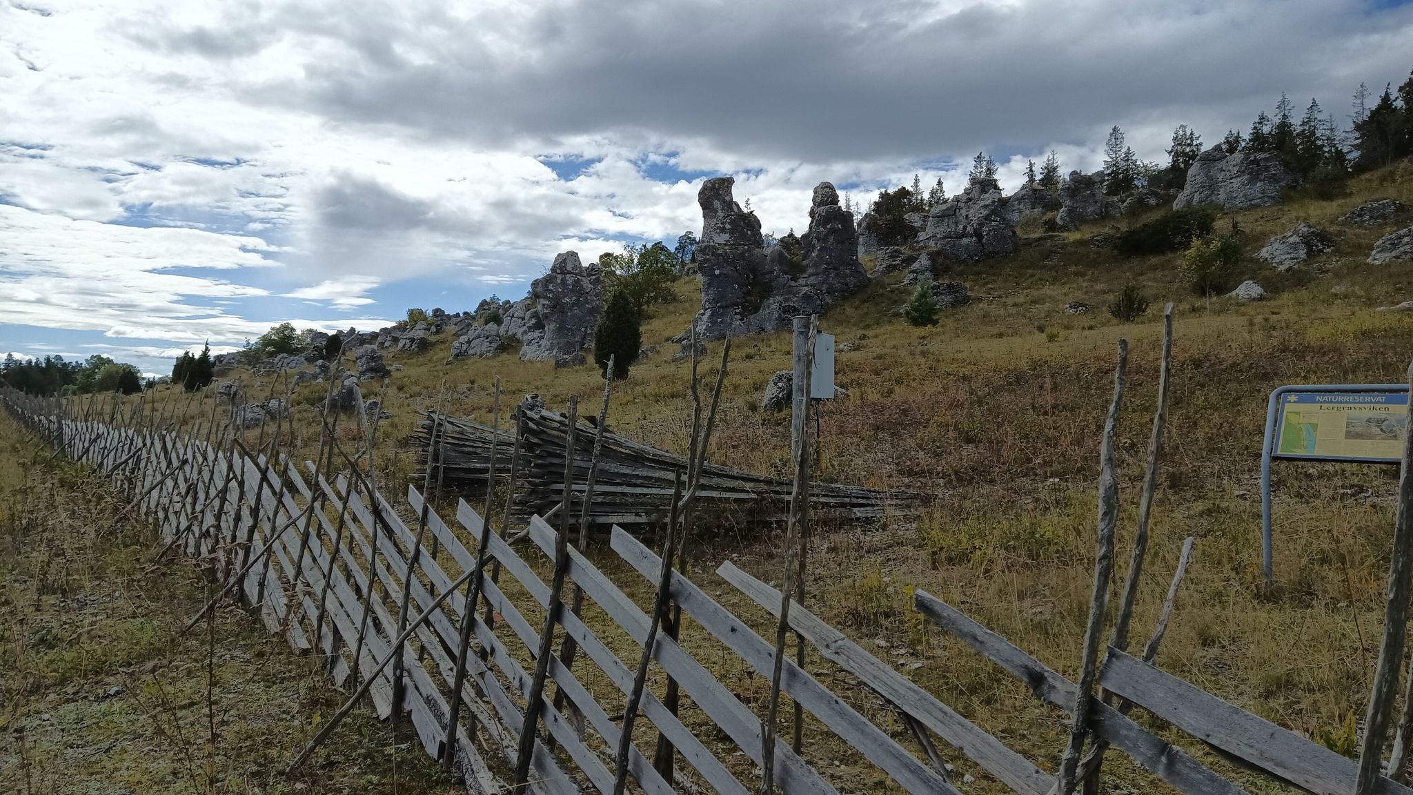 Lergravsviken