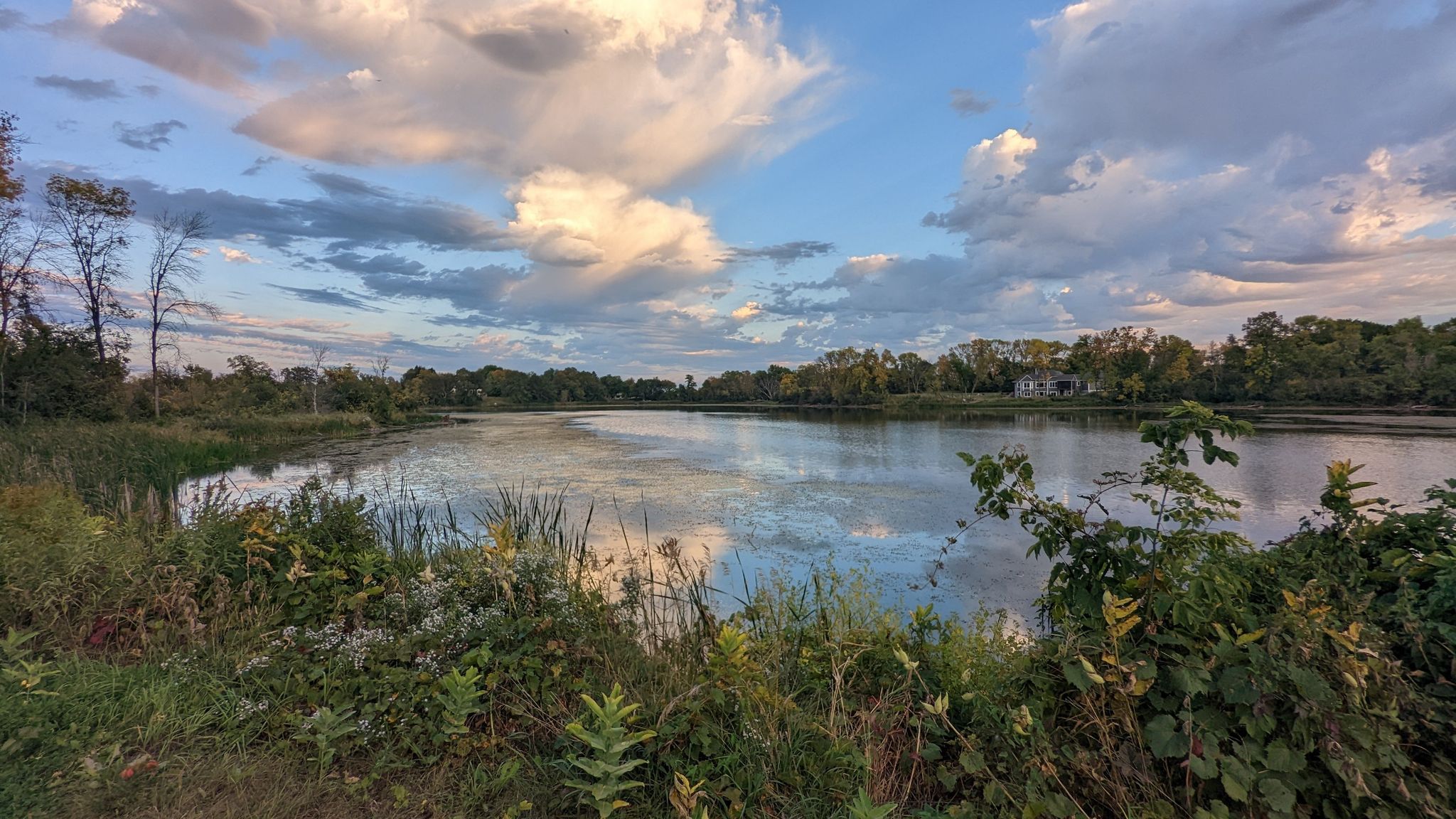 Calm lake reflecting a cloudy sky, surrounded by lush green plants. - Dakota Rail Regional Trail – Hardin Park loop from Medicine Lake