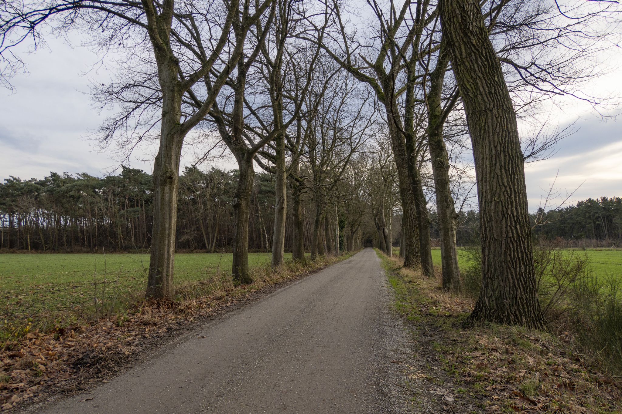 Via de Slingerij naar de Oosteeklose Bossen
