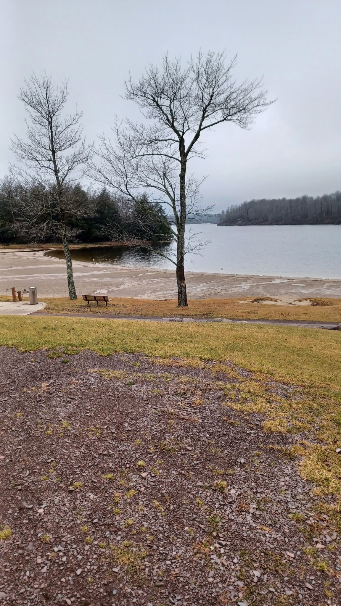 Overcast day at a lake with bare trees and a sandy shoreline. - Ricketts Glen State Park to Sullivan and Big Run Falls gravel ride
