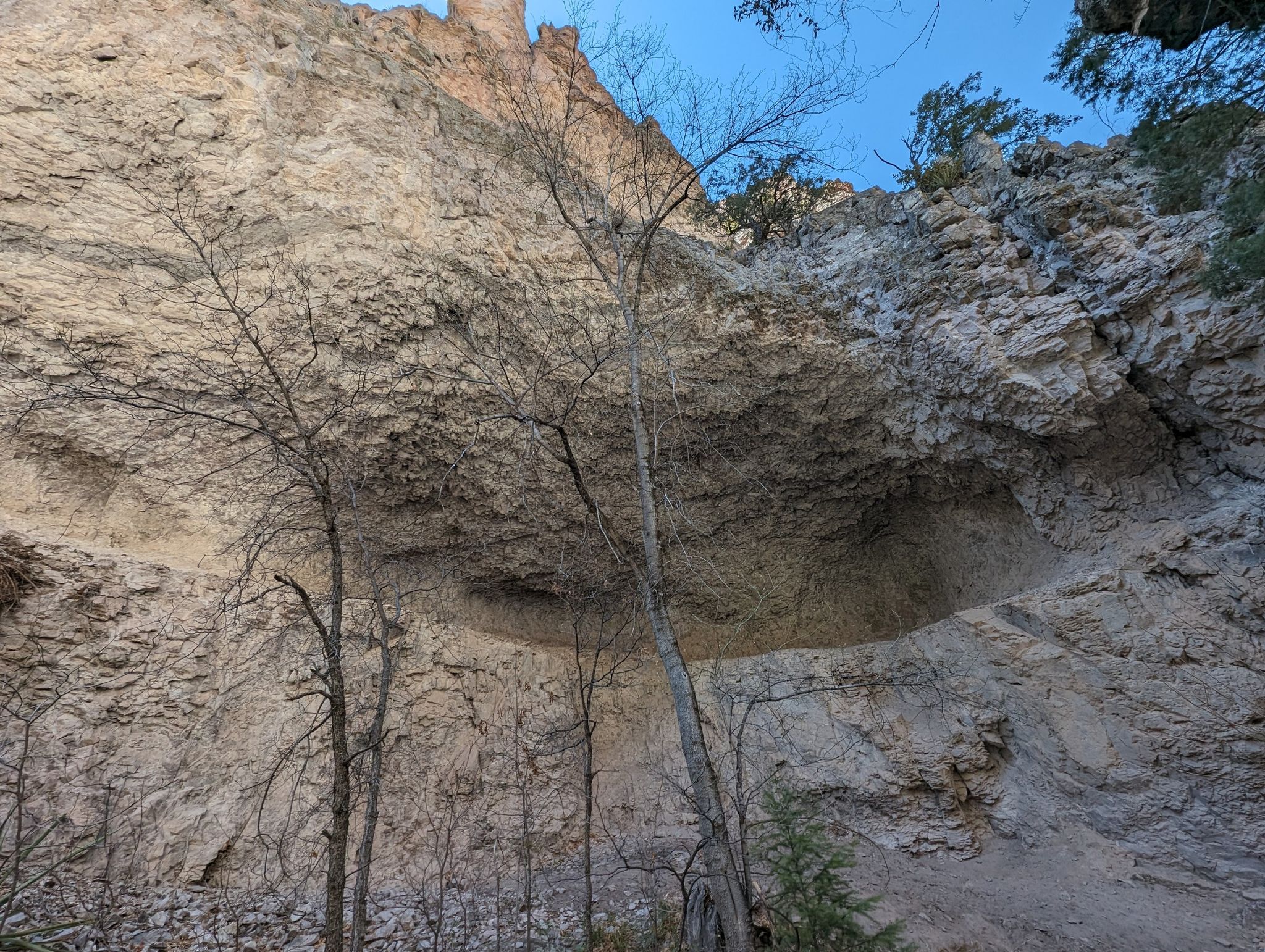 A towering light-colored rock cliff with an overhang and sparse trees. - Little Bear Canyon Trail to Jordan Hot Springs