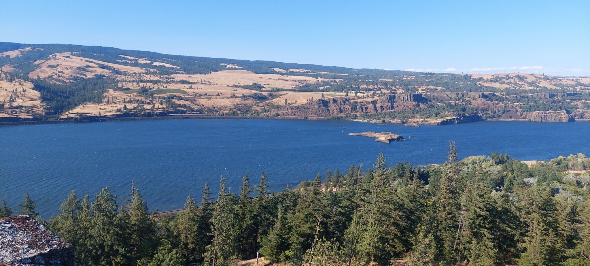 Wide blue river flowing between arid hills and green trees under clear sky. - Memaloose Lookout – Mosier, Oregon loop from Memaloose State Park