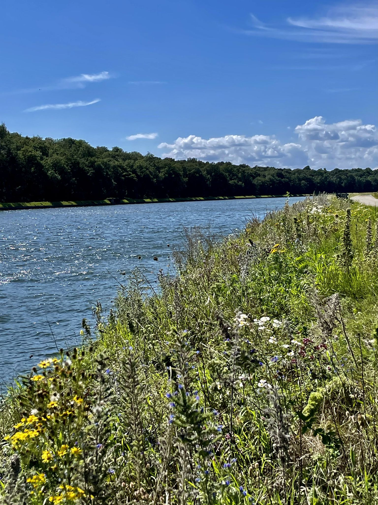 Albertkanaal