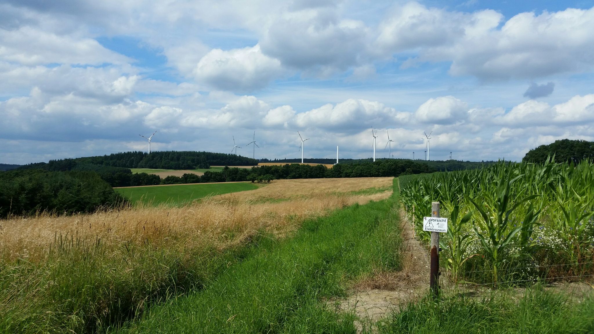 2060727 Kirchberg 003