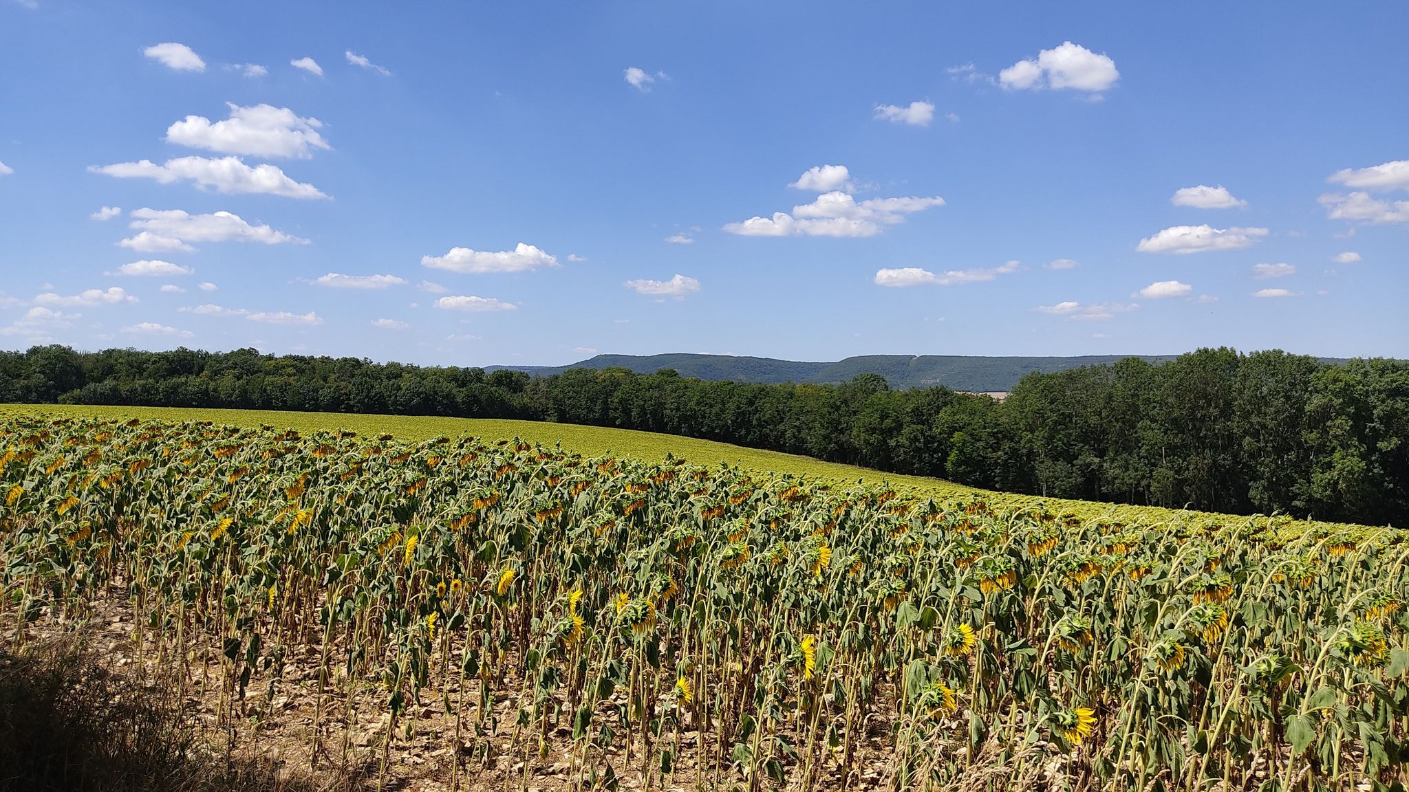 vue sur la vallée de l'Ouche