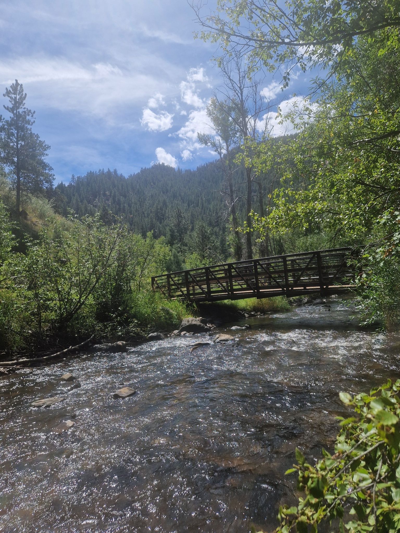 Wooden bridge over a flowing river in a lush green mountain valley. - Bear Creek and Bruin Bluff Trail Loop