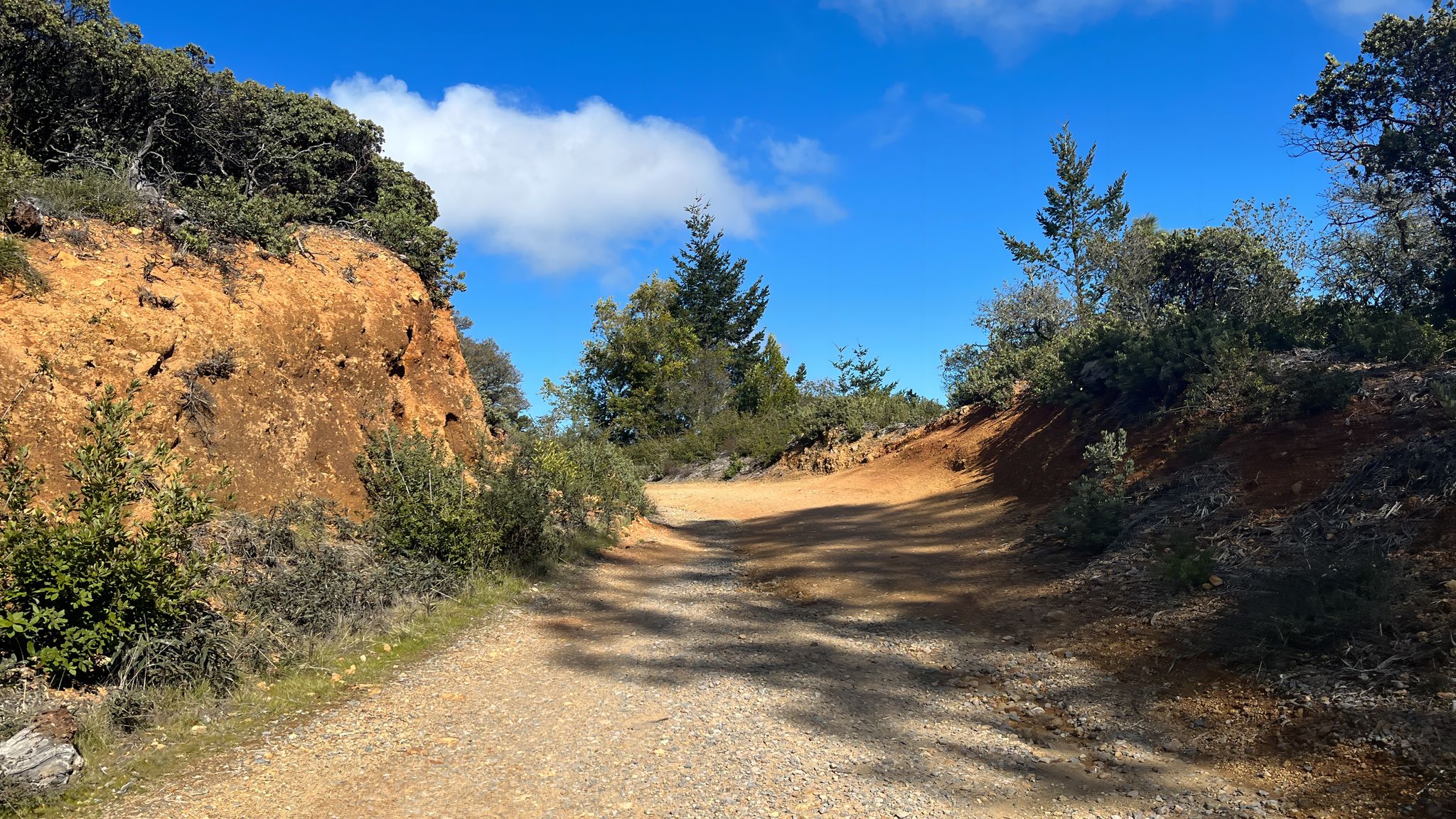 A winding dirt road between steep banks and green bushes under a blue sky. - West Point Inn loop from Alta