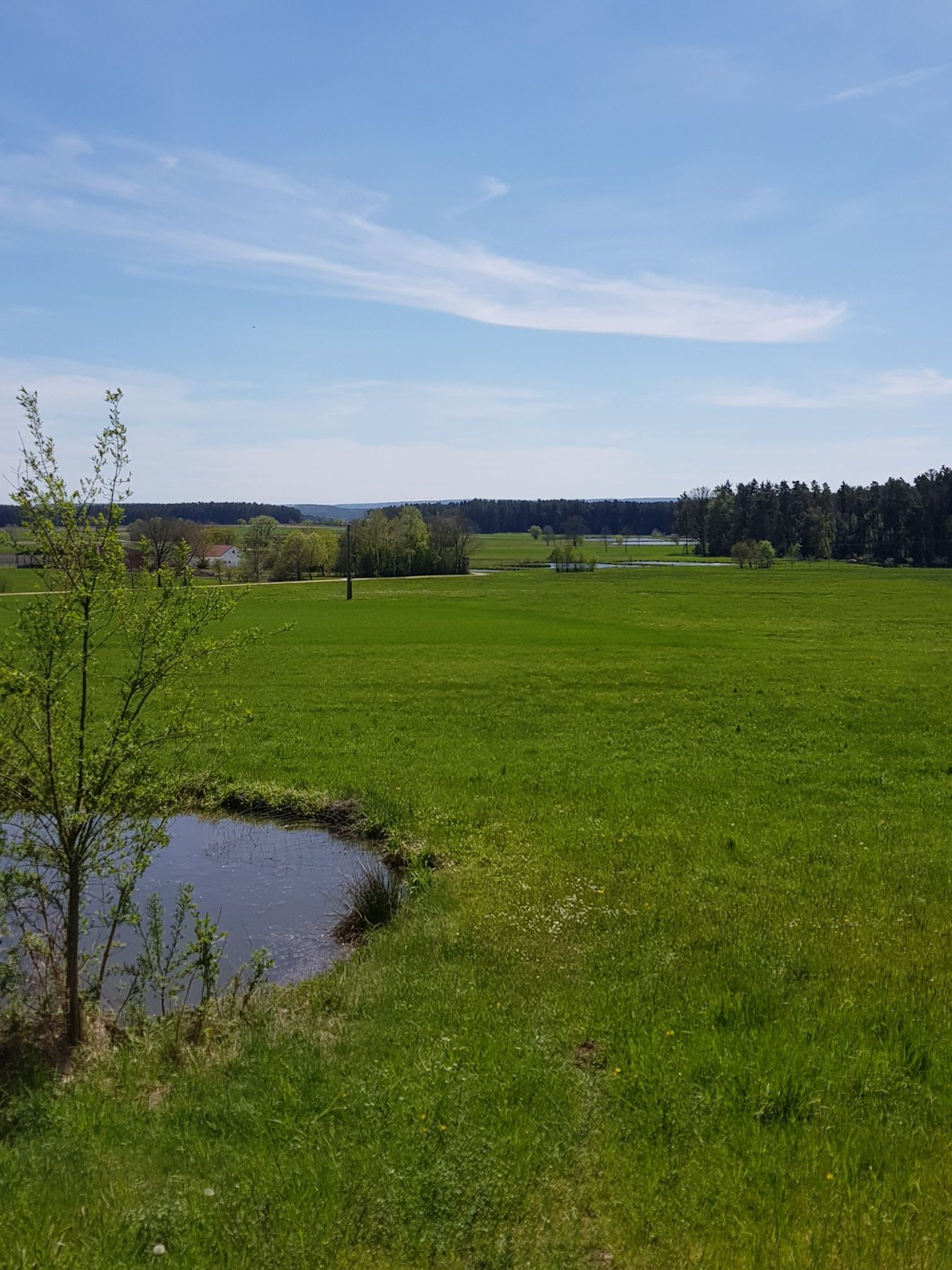 Weiher b. Haundorf